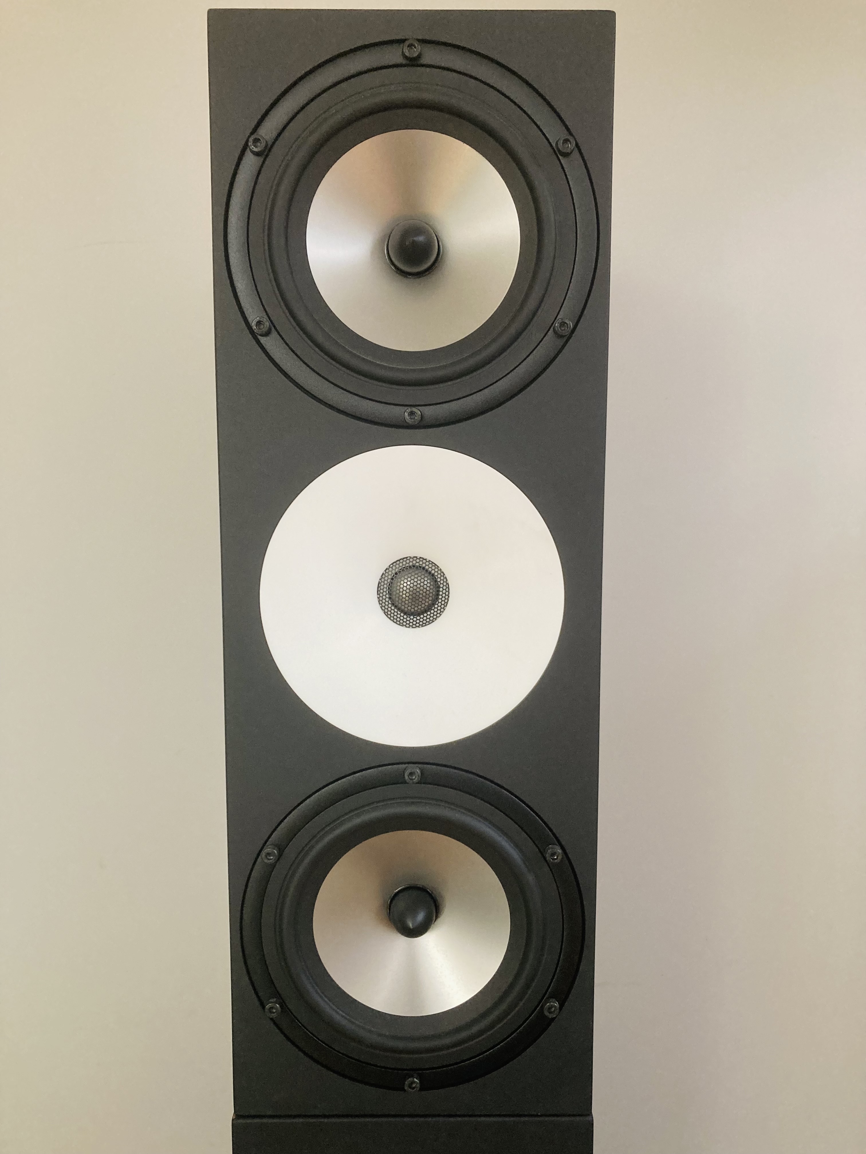 Ampion IMG 2218