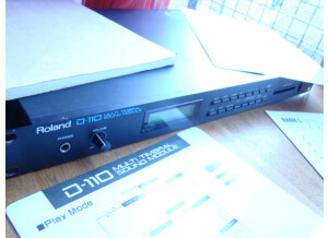 Roland D-110 (26422)