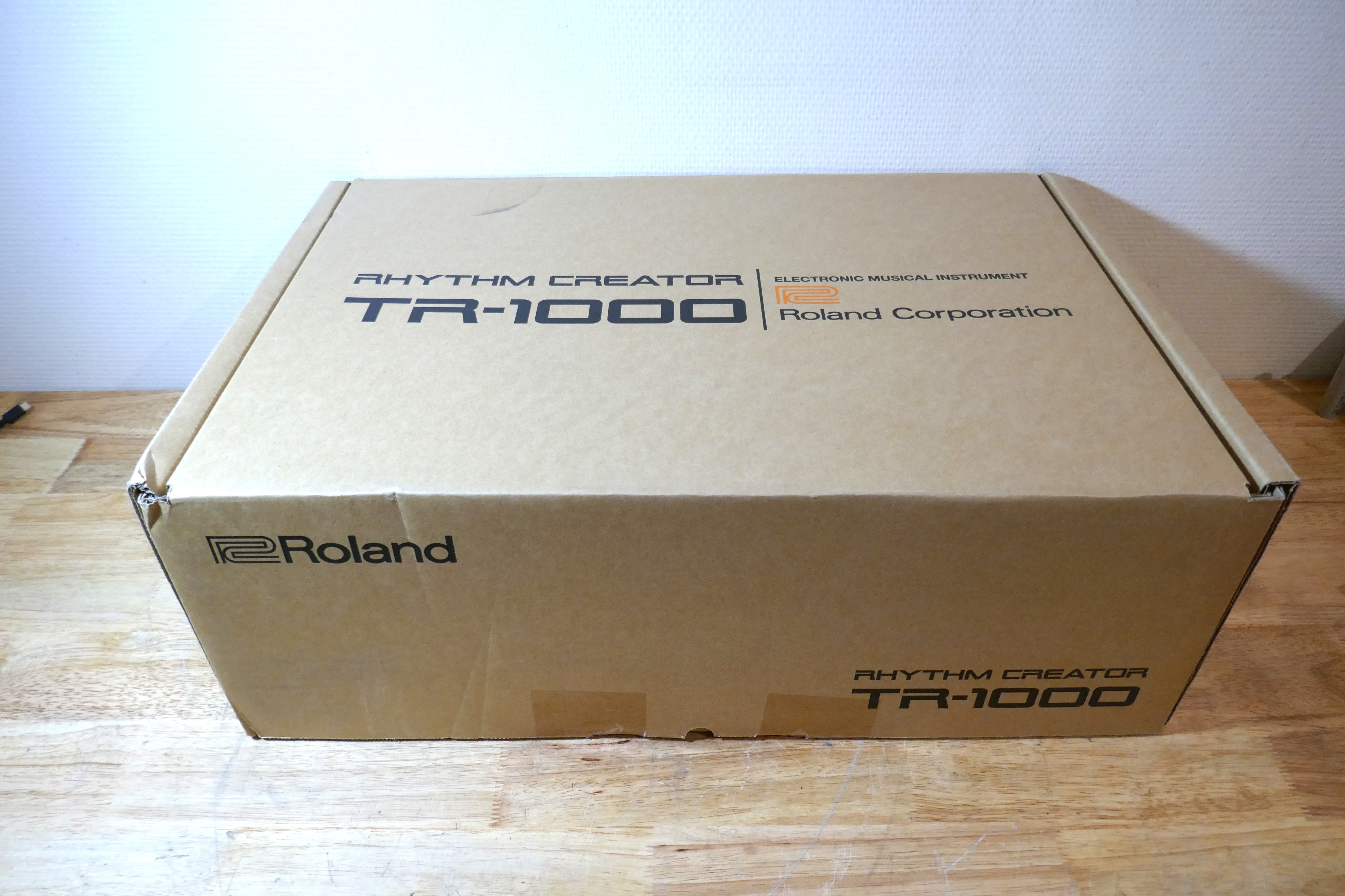 Roland TR-1000 (21134)