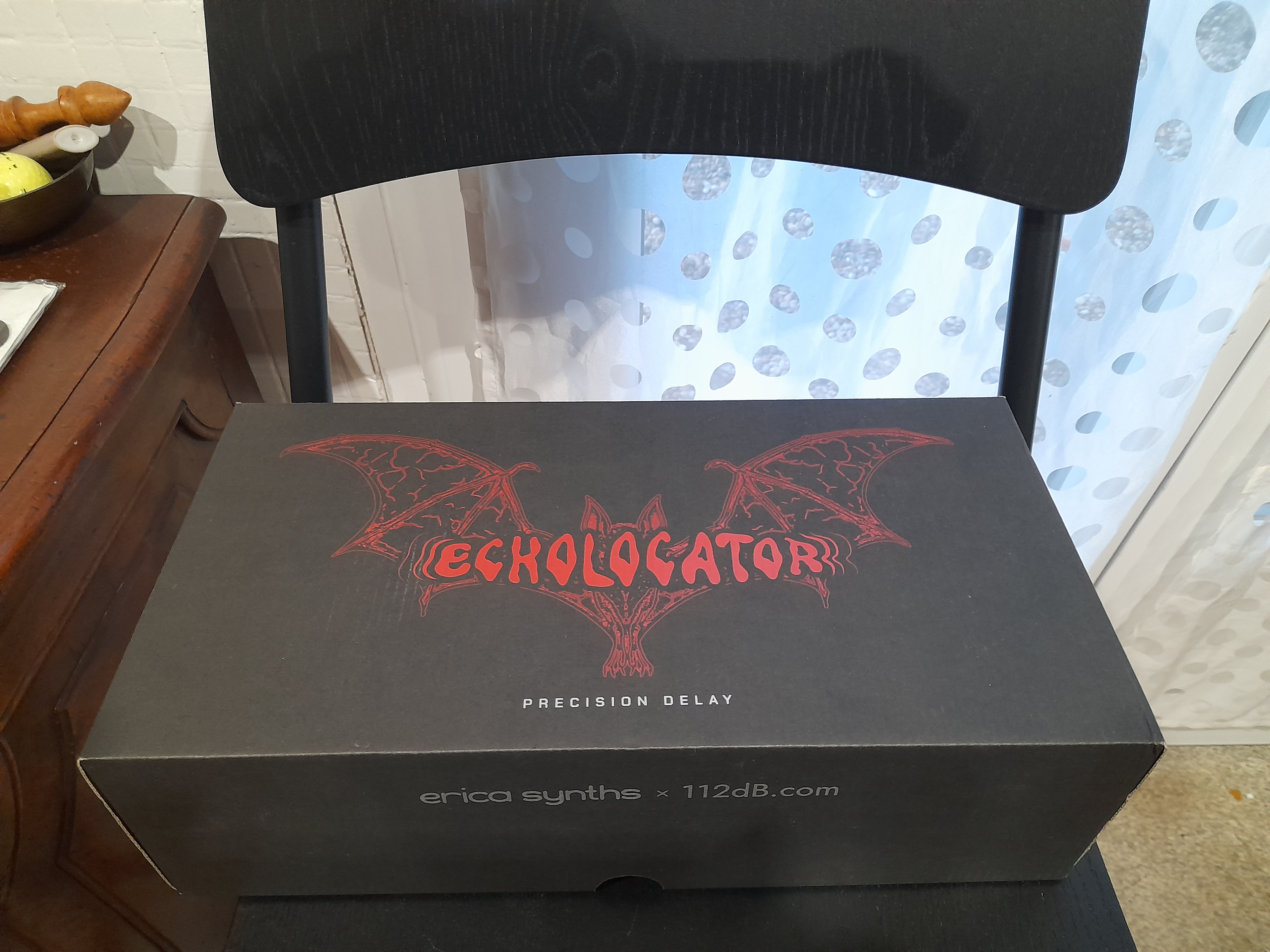 Erica Synths Echolocator (28256)