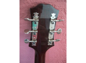 Epiphone FT130 CABALLERO