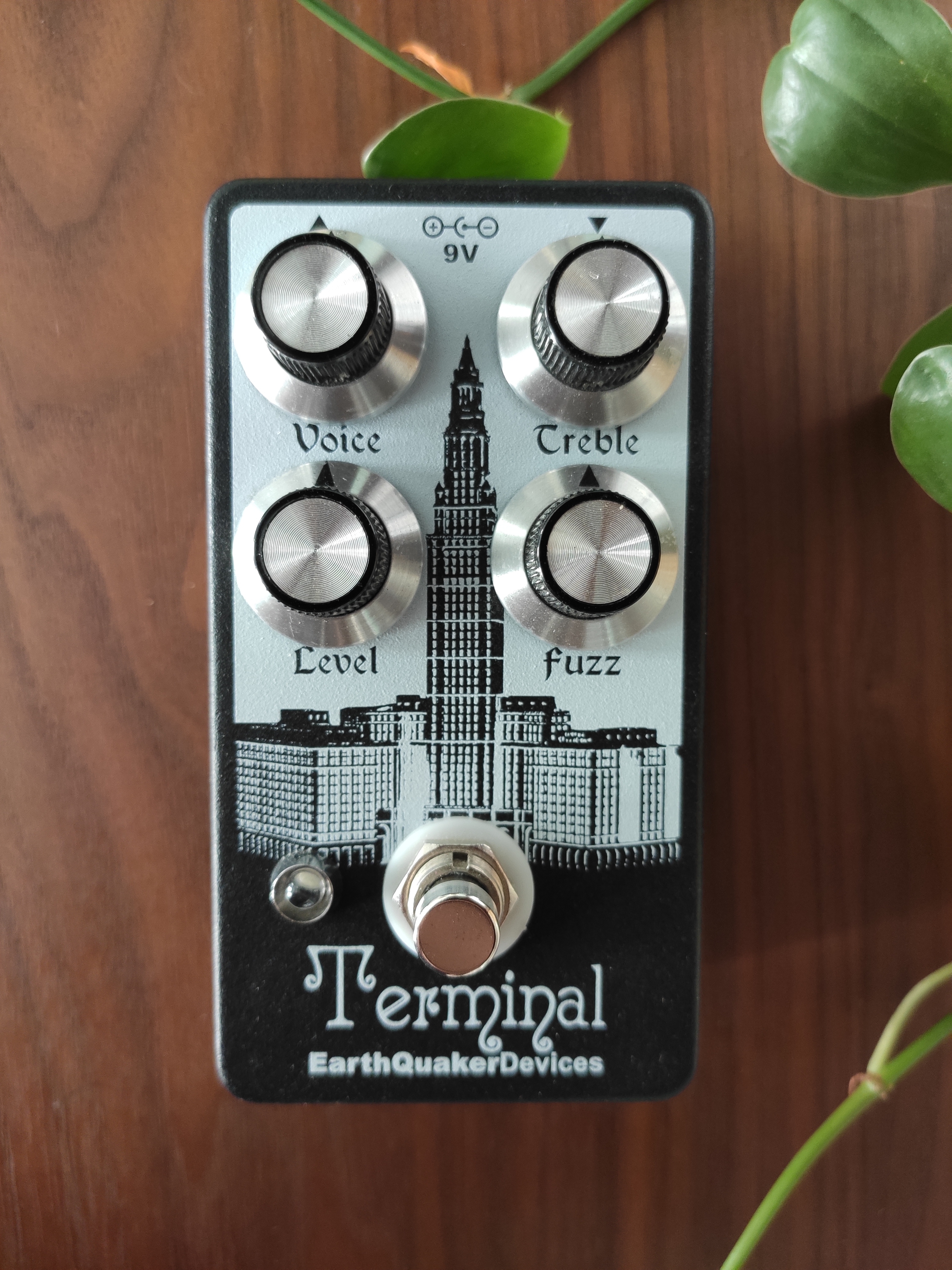 Terminal Fuzz Earthquaker Devices