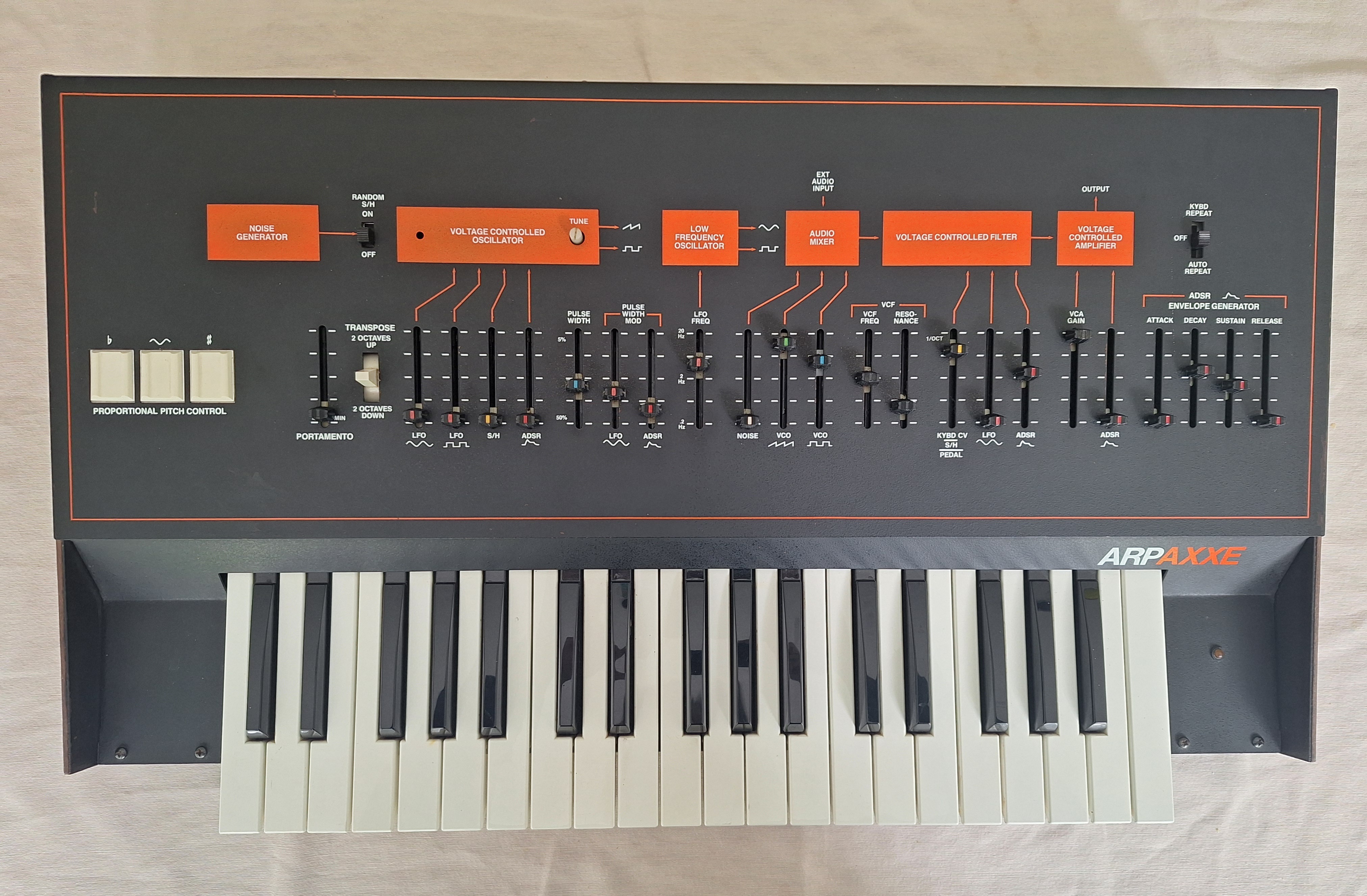 ARP AXXE