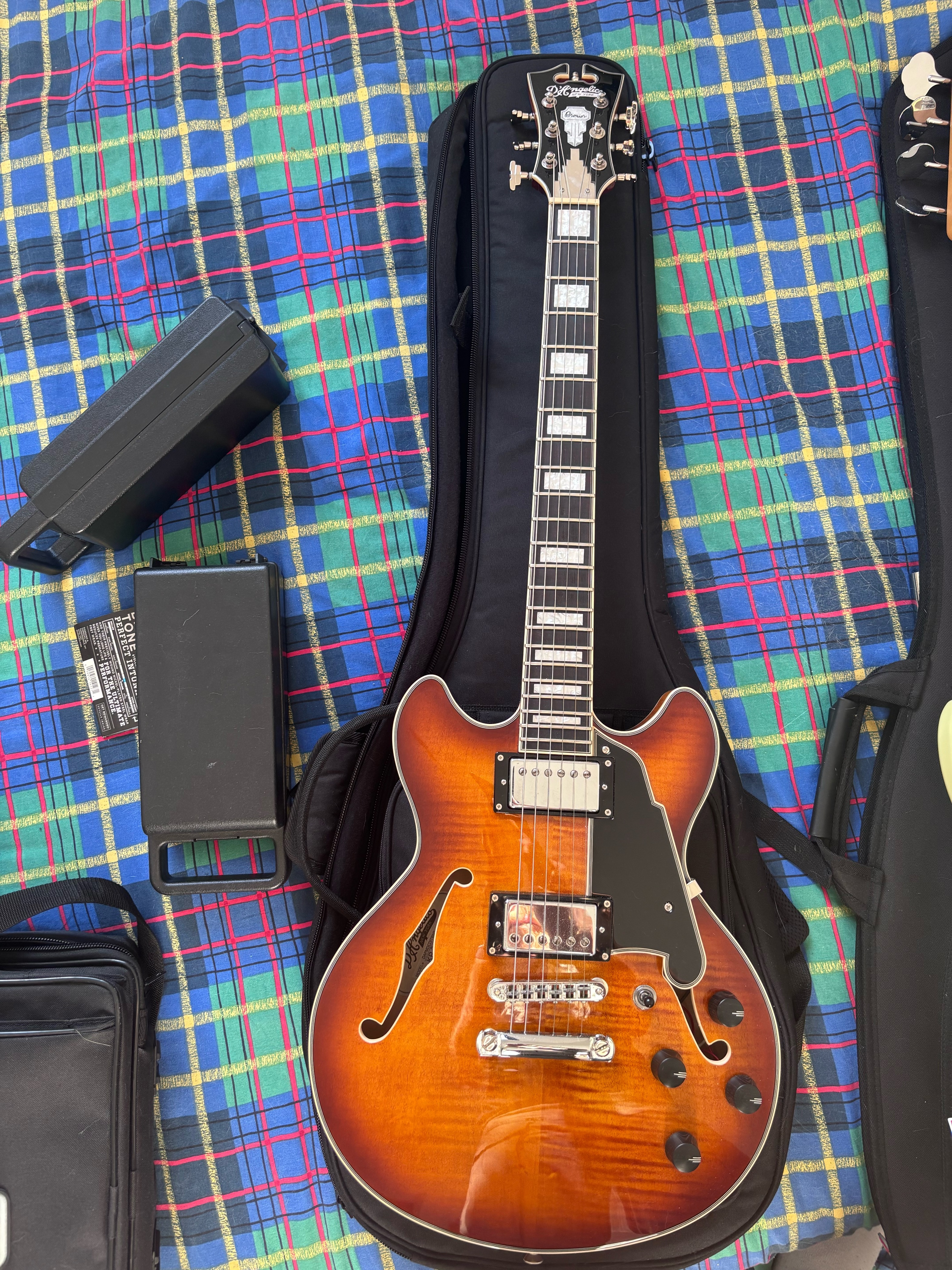 D’angelico premier mini dc
