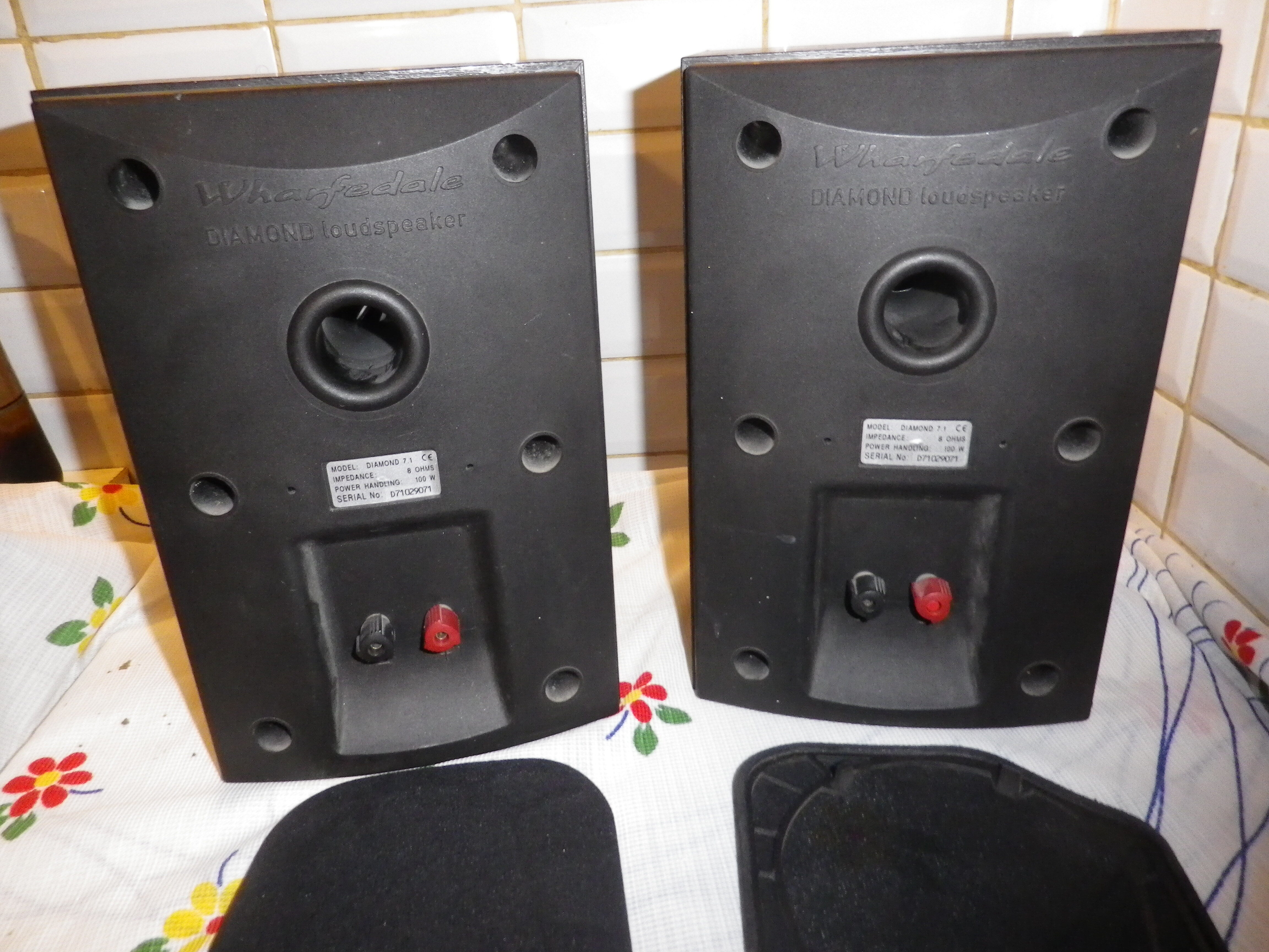 IMGP2590