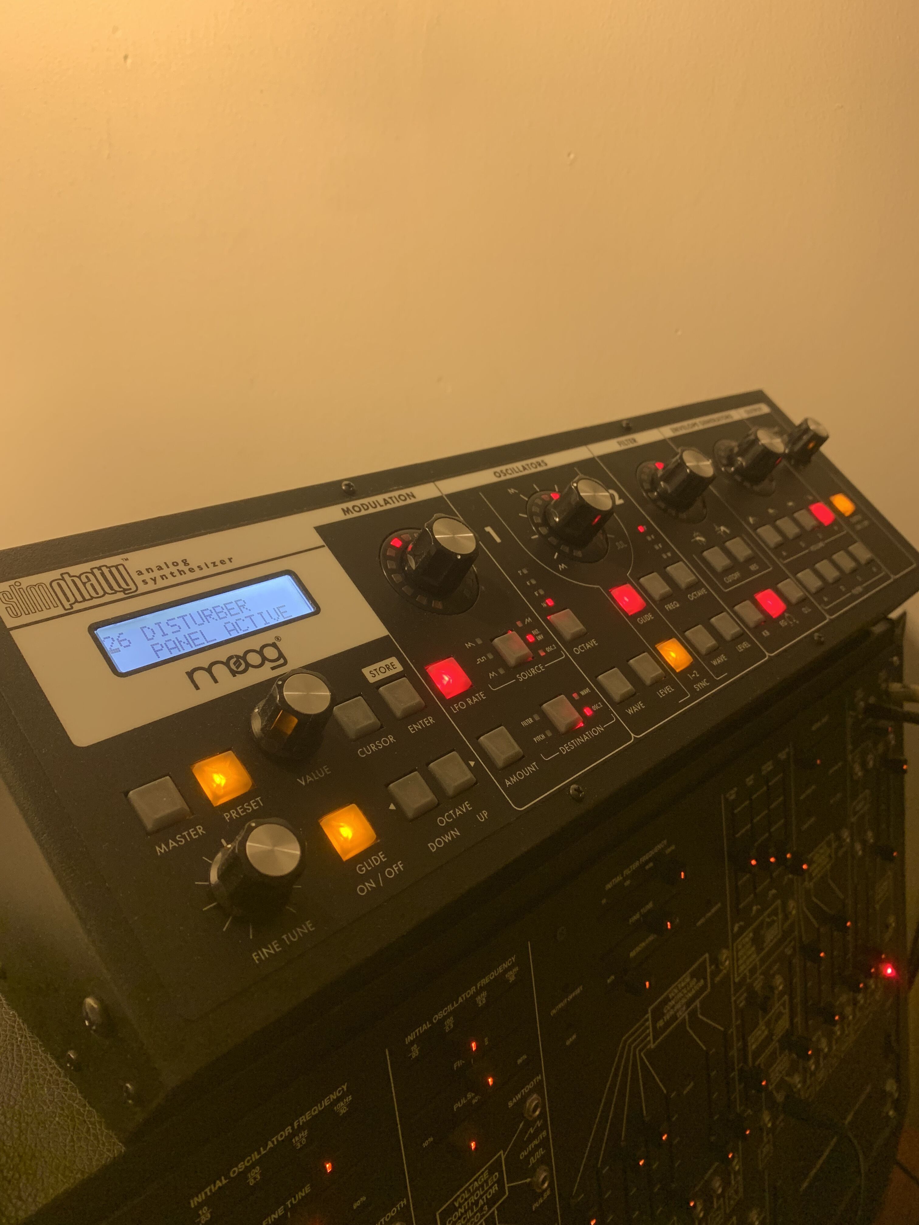 Moog Music SlimPhatty (54332)