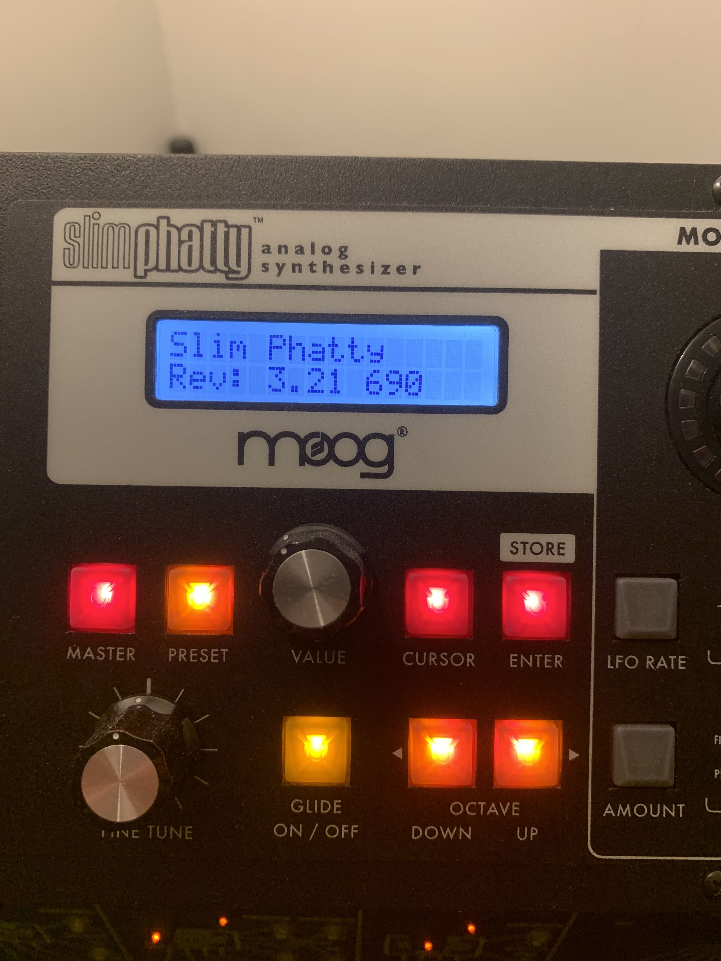 Moog Music SlimPhatty (98646)