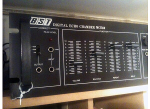 Bst Digital Echo MCE60