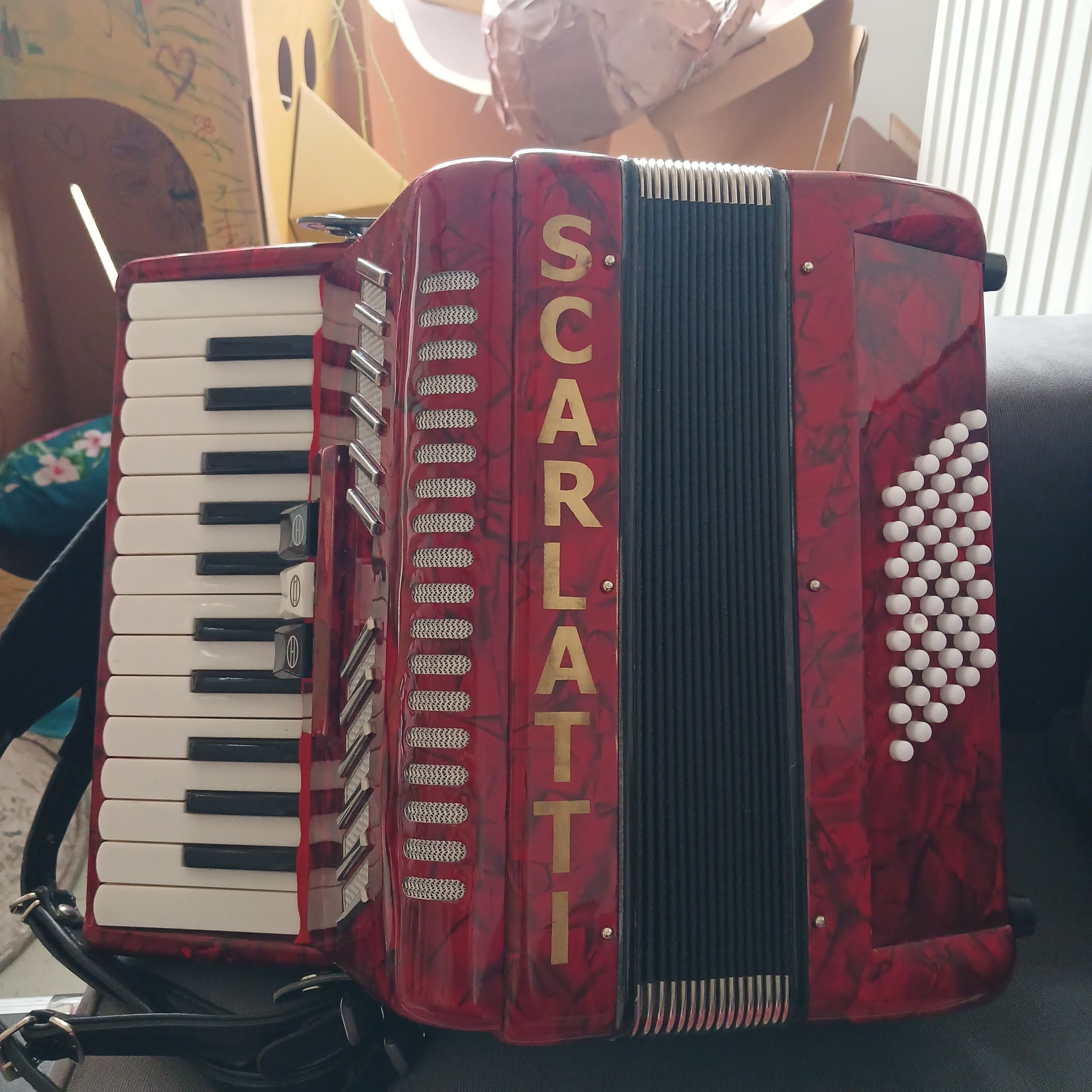 Vends accordeon scarlatti