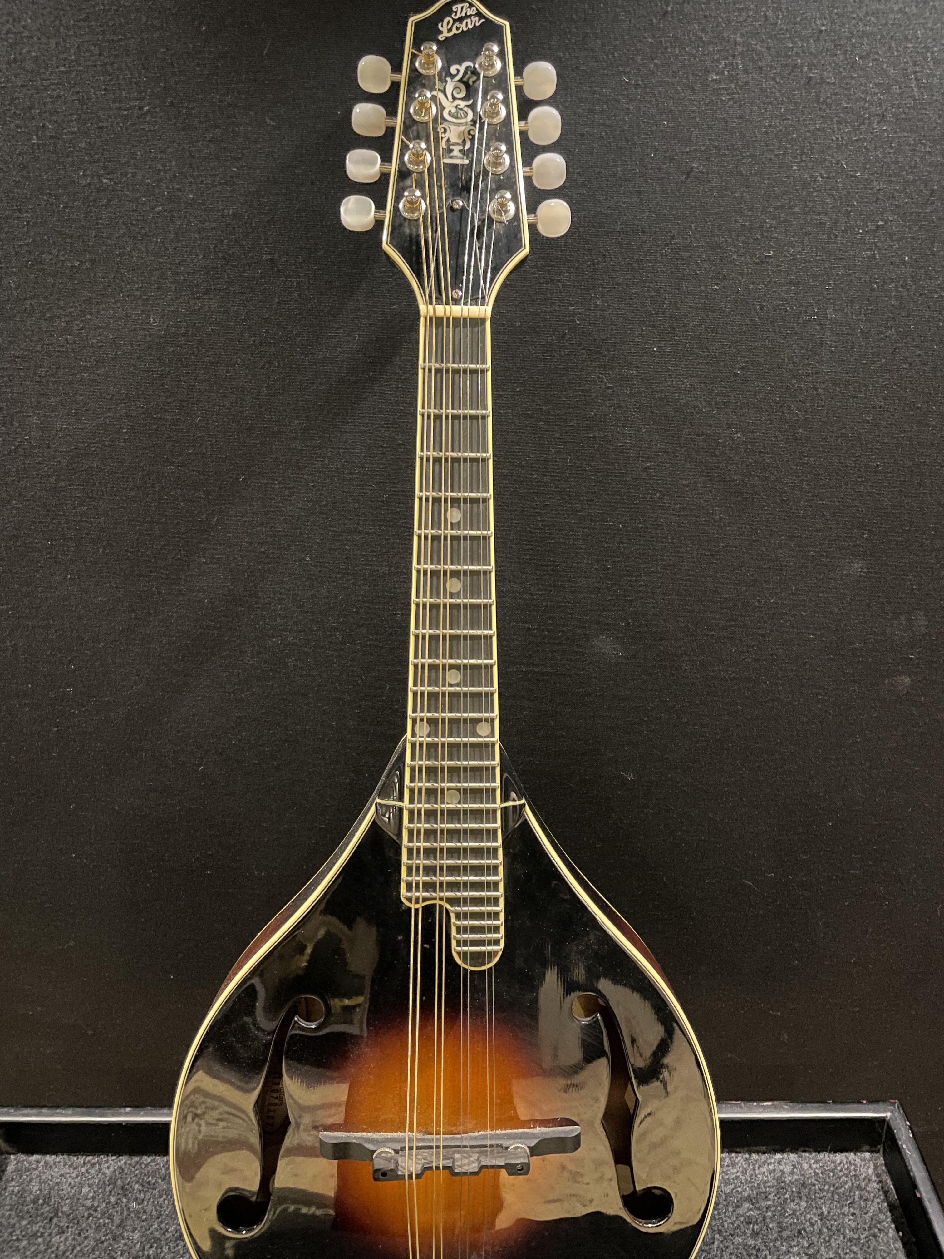 Vends Mandoline LOAR LM300