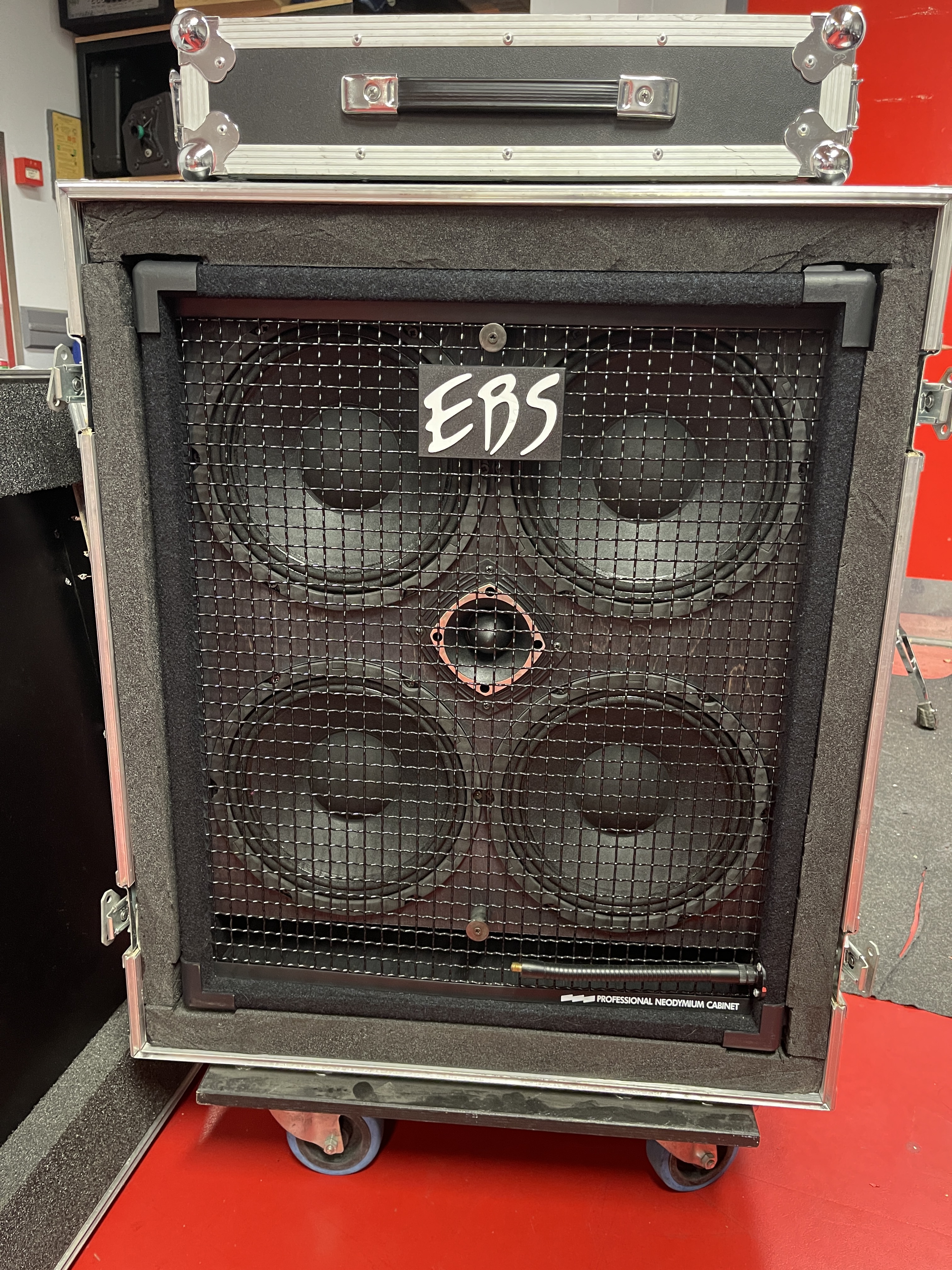 Baffle EBS Neoline 410 + flight case
