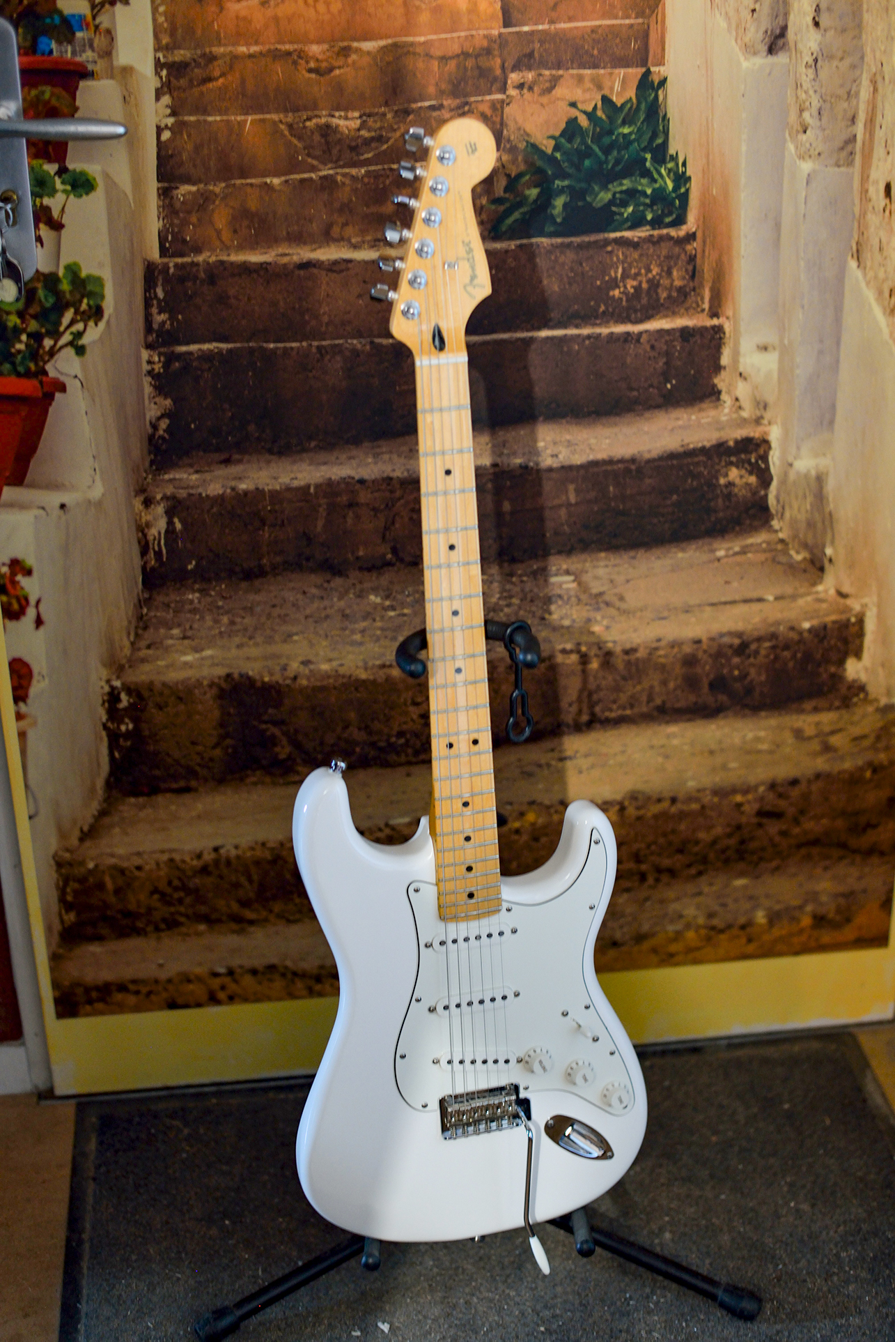 Fender Player Série Strat MN PWT