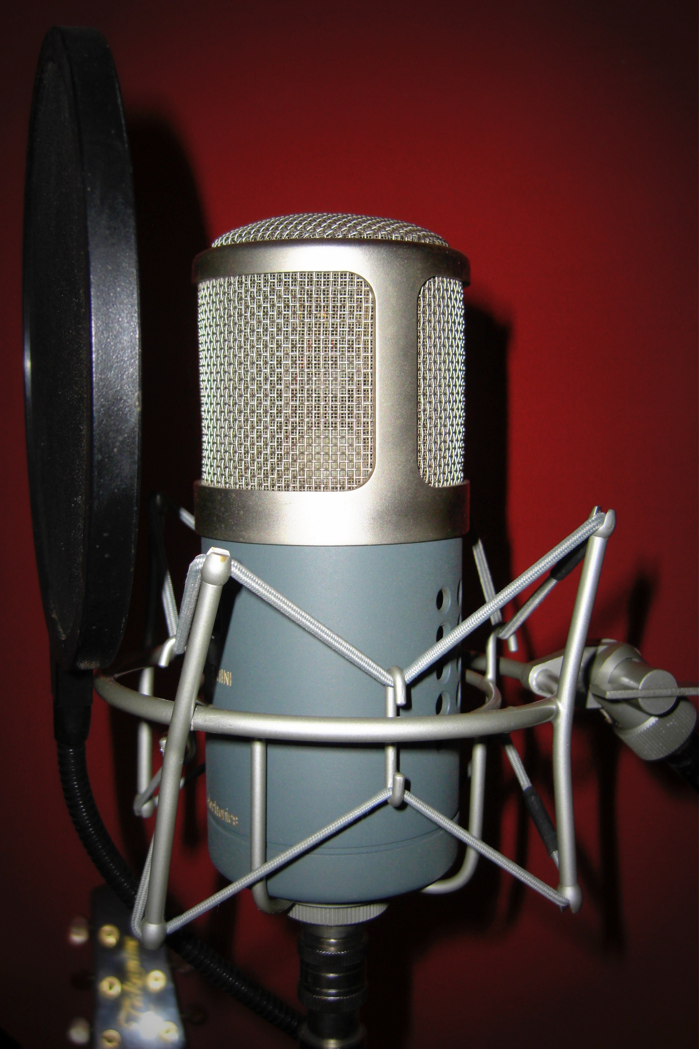 sE Electronics Gemini