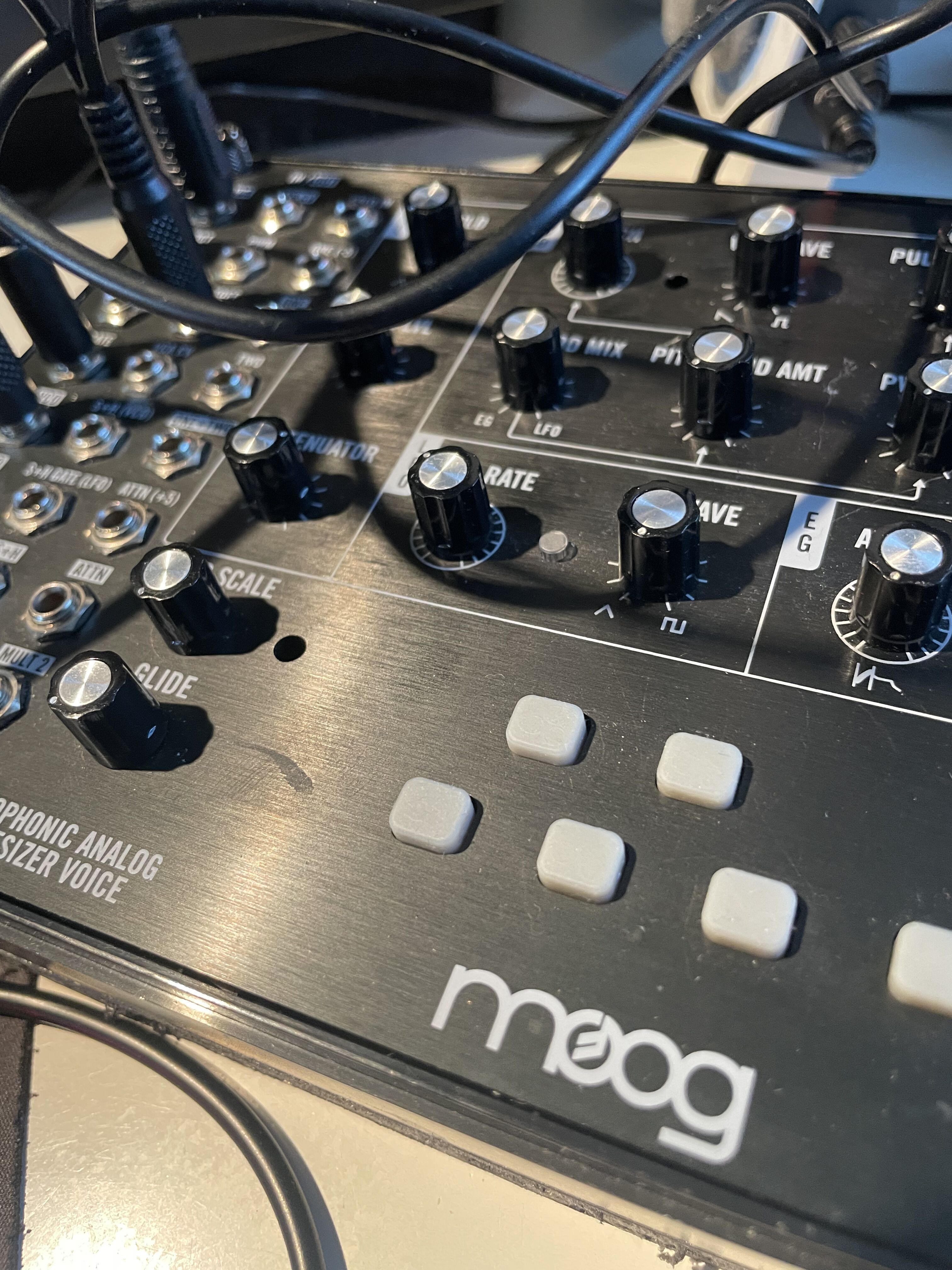 vends moog mavis sous garantie