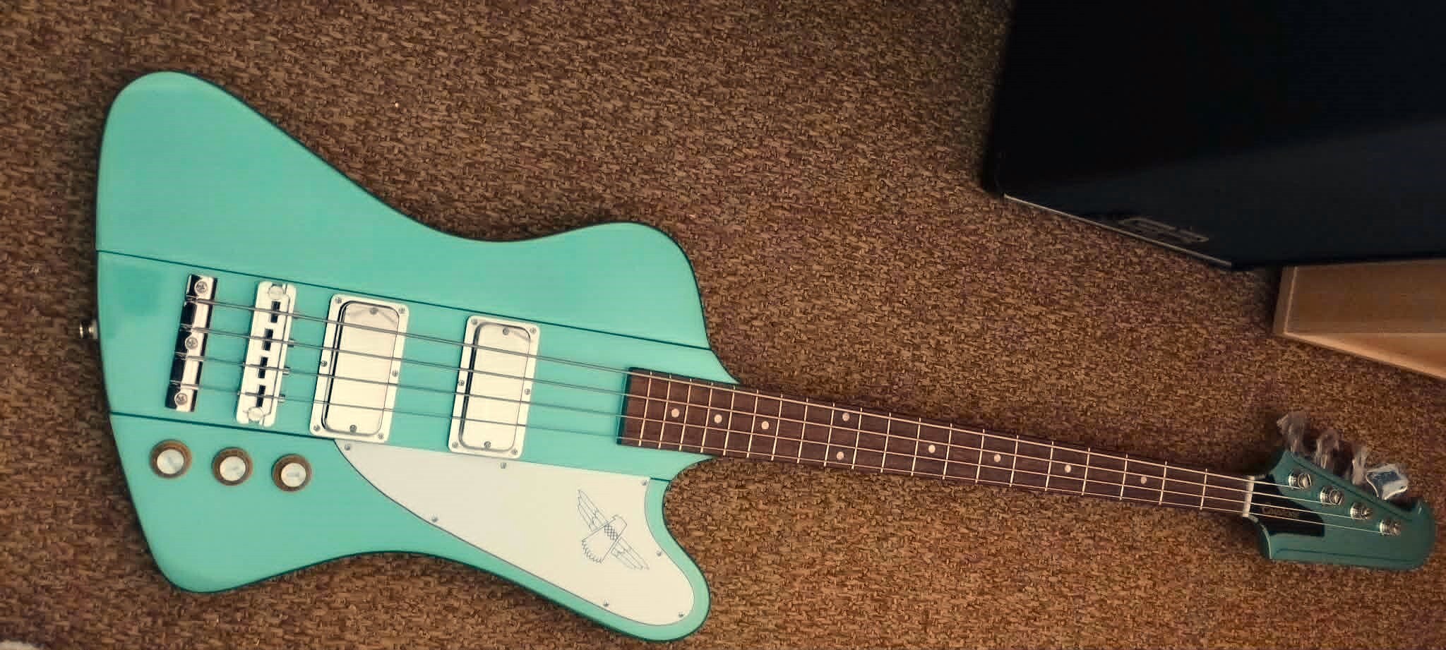 Basse Epiphone '64 Thunderbird
