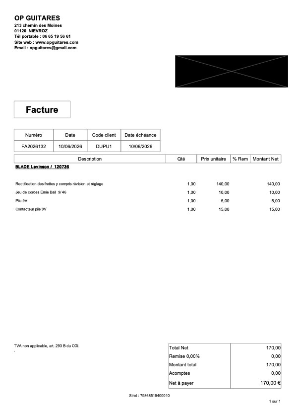 Facture FA2026132