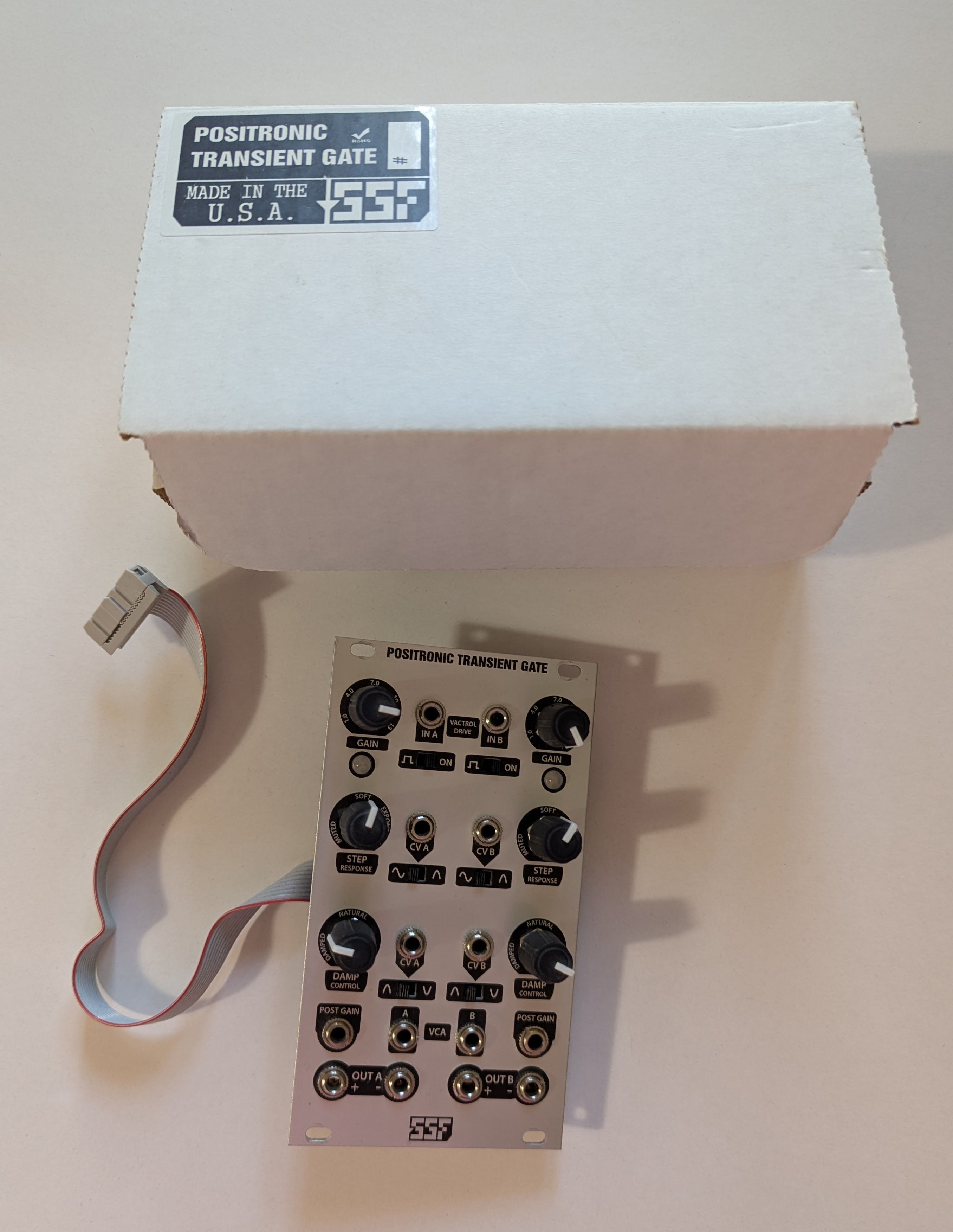Positronic Transient Gate / Steady State Fate