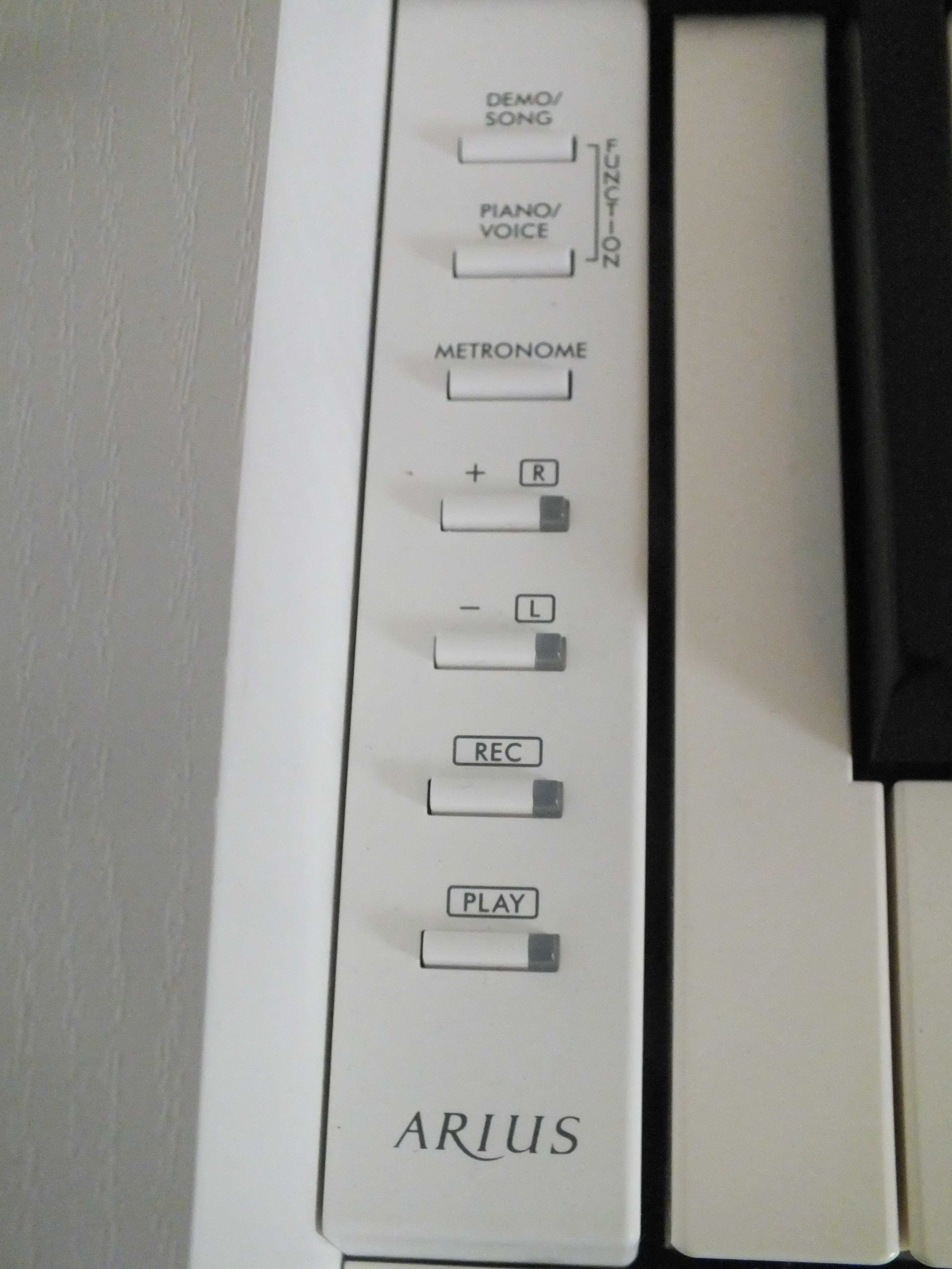 DSCF7569
