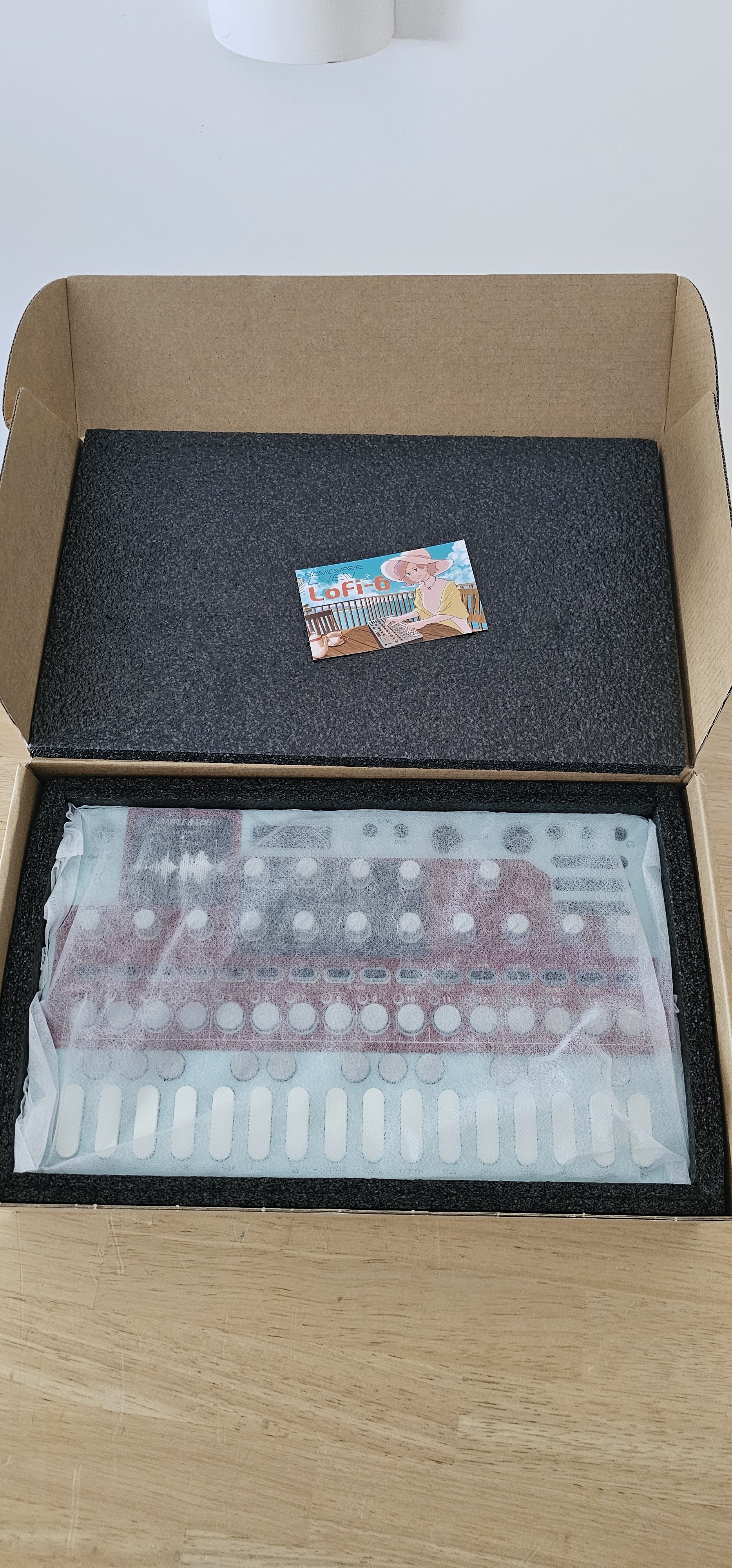 Sonicware Liven Lofi-6 (93377)