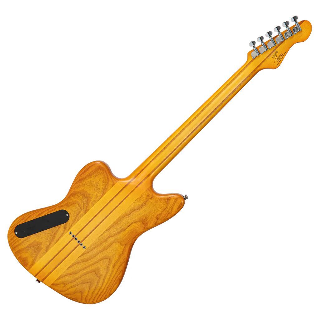 REVO IntegraBACK