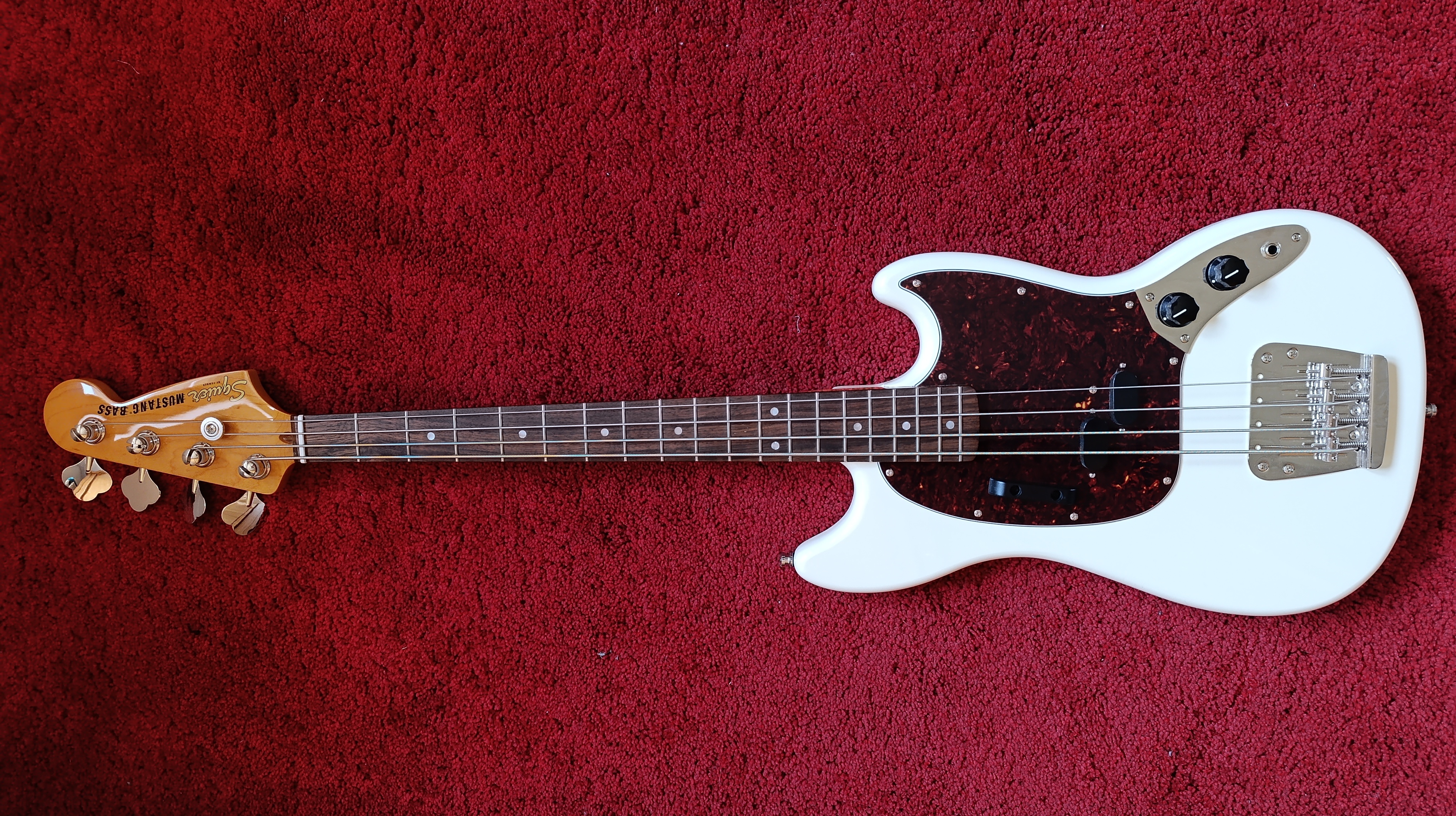 Ampeg RB-110 II (97039)