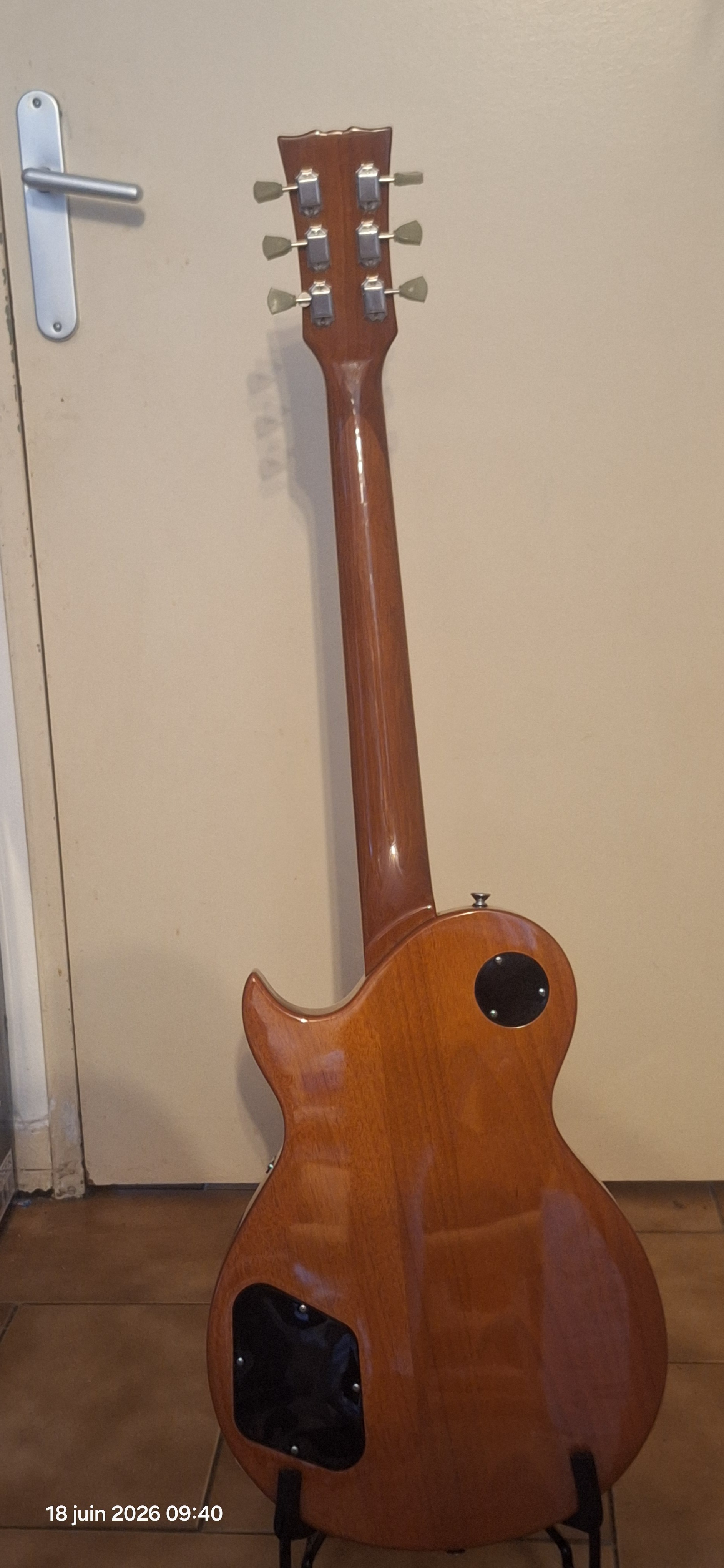 Harley Benton SC-450Plus (2865)