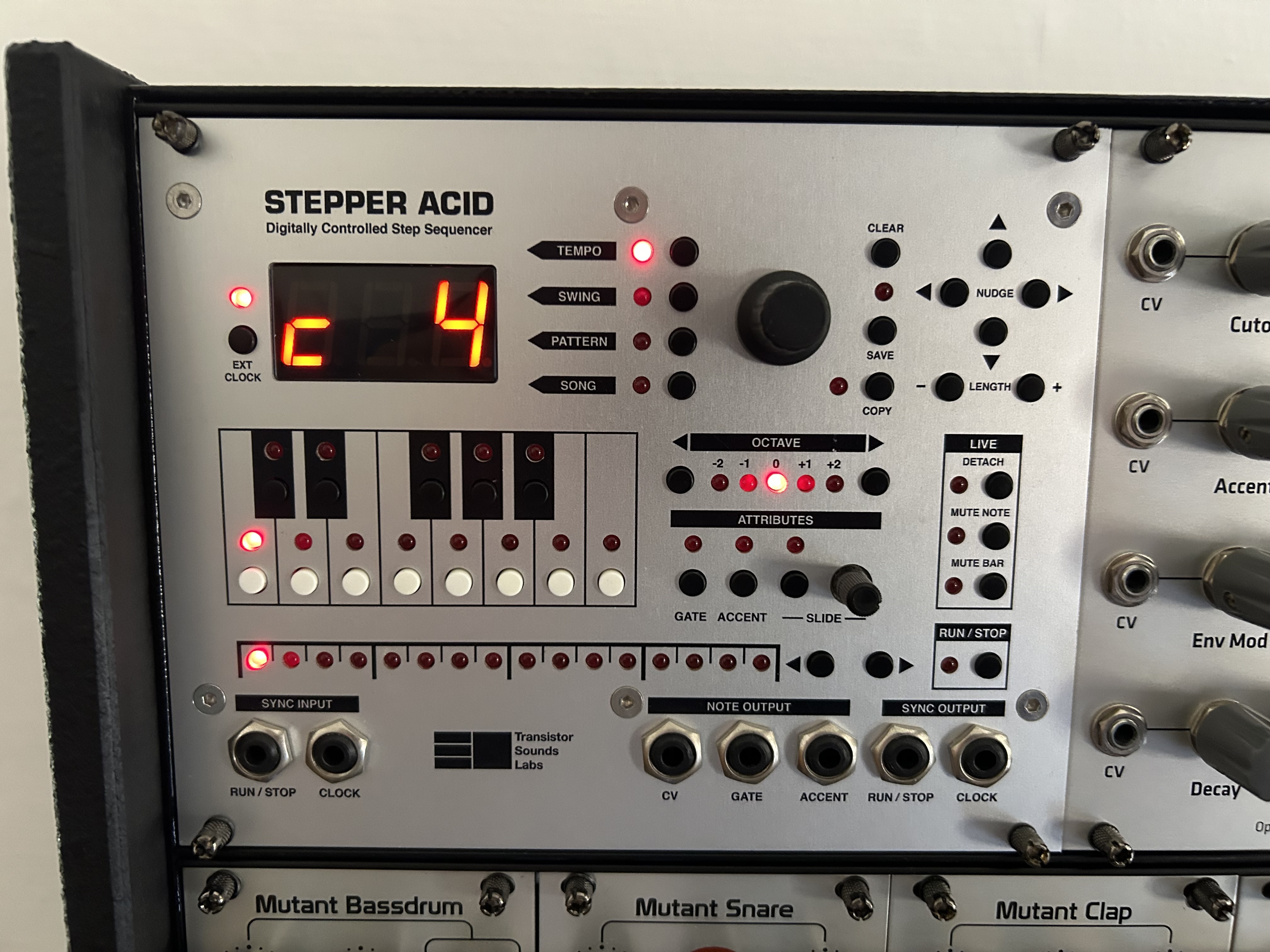 Stepper Acid