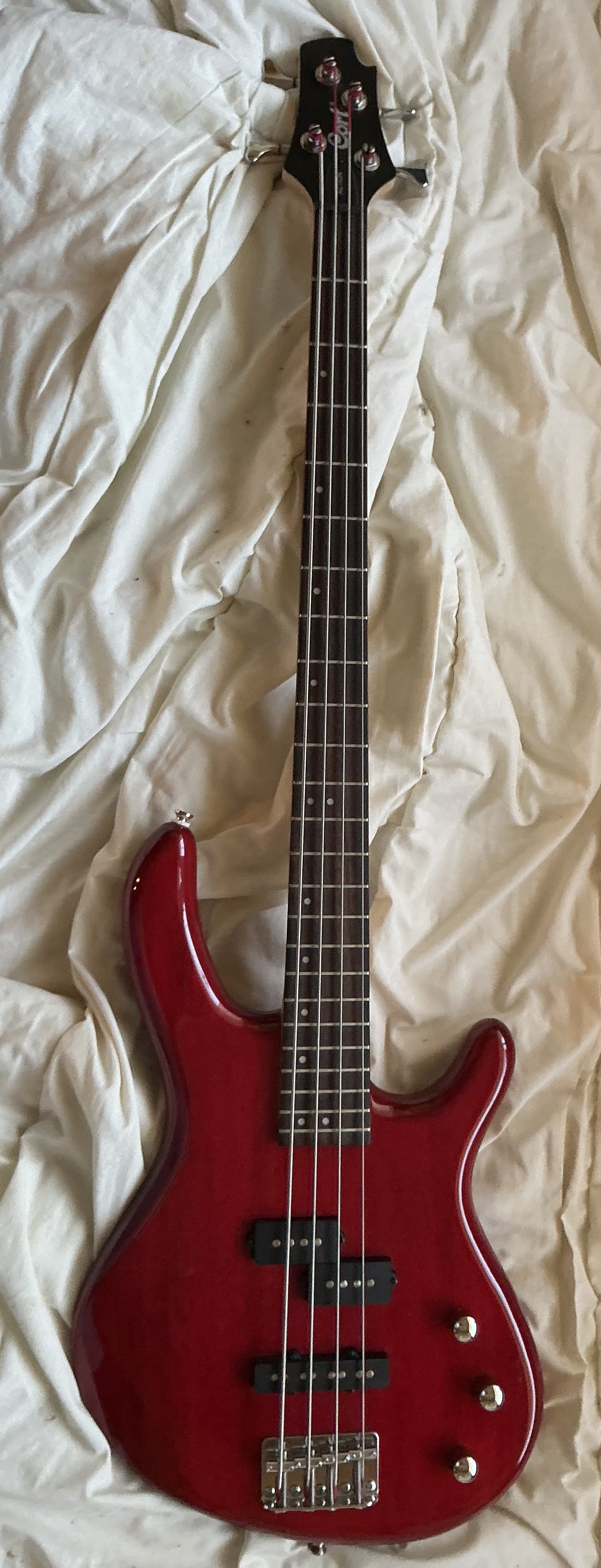 vds basse Cort Action ACT 4 TR trans red