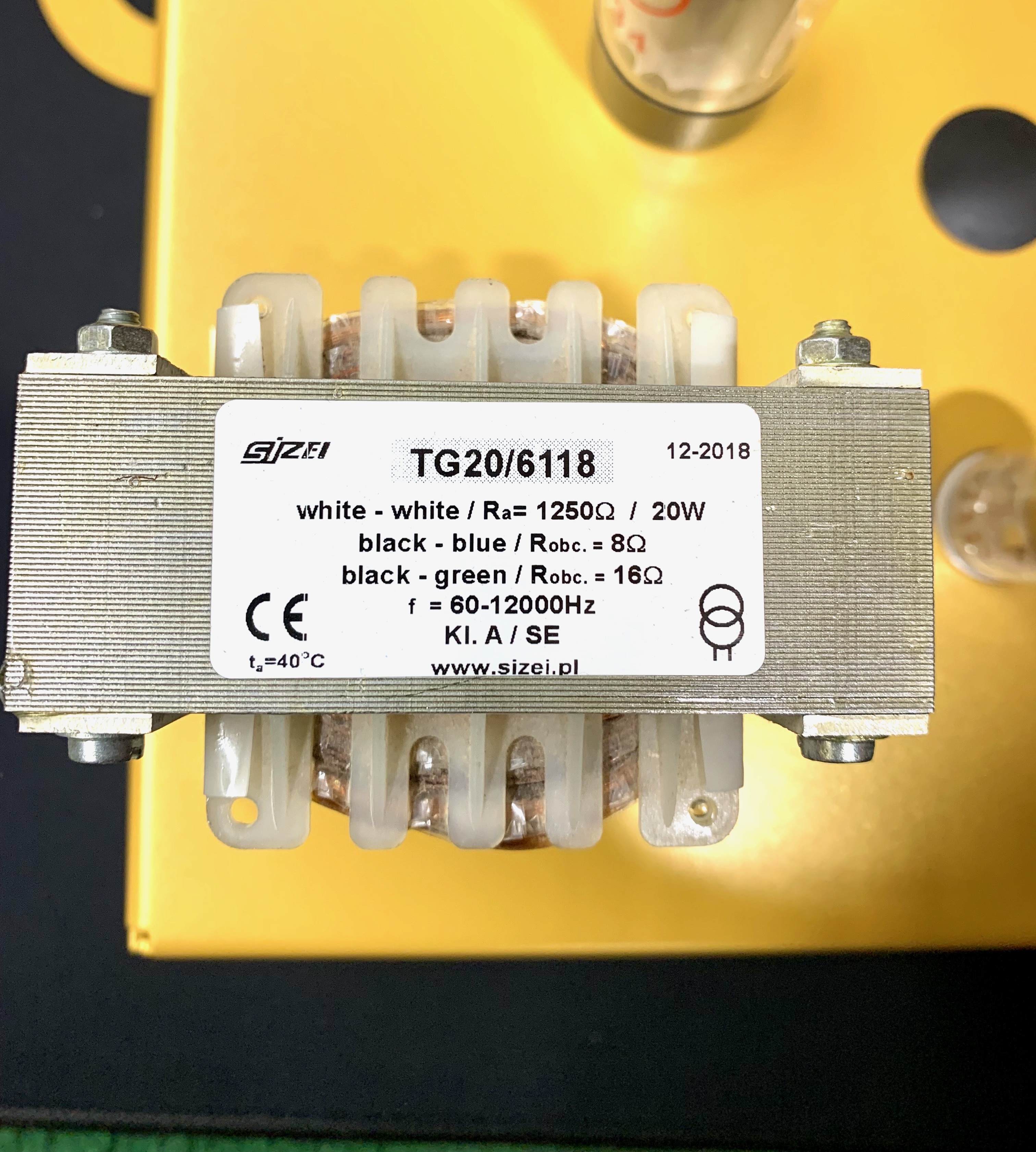Ace Amplification Colt (66277)