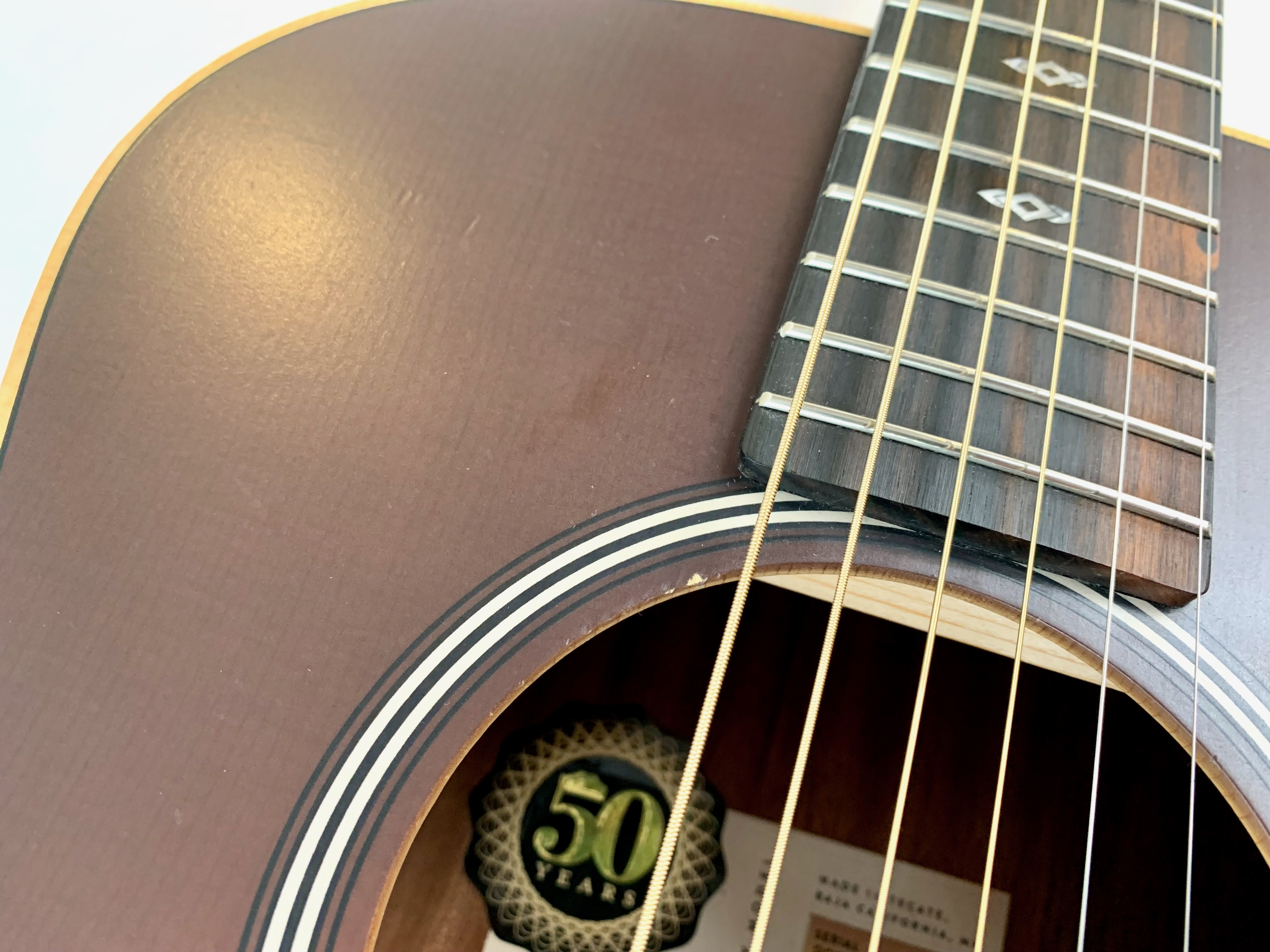 Taylor 50th Anniversary GS Mini-e Rosewood (55756)