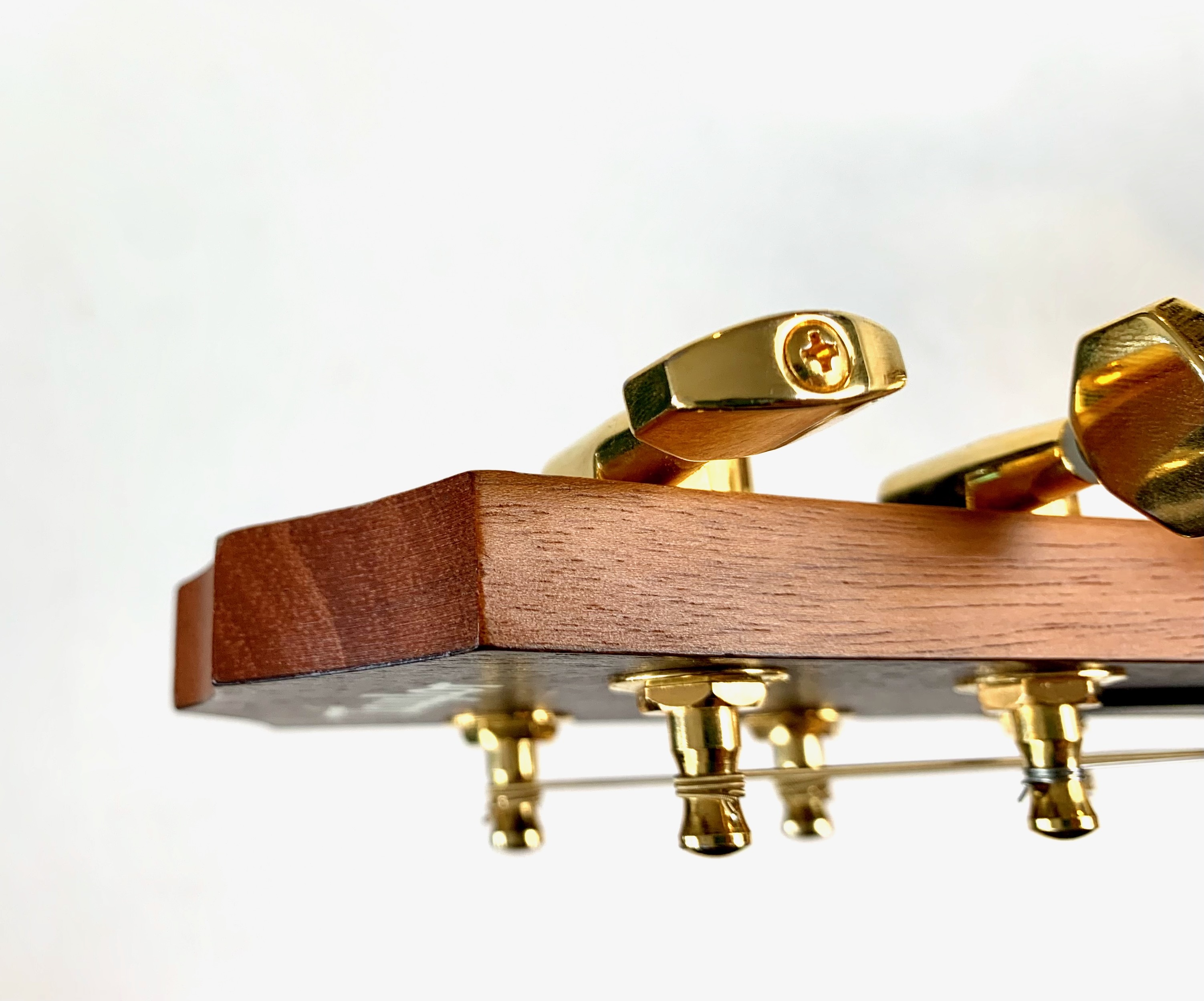 Taylor 50th Anniversary GS Mini-e Rosewood (77801)