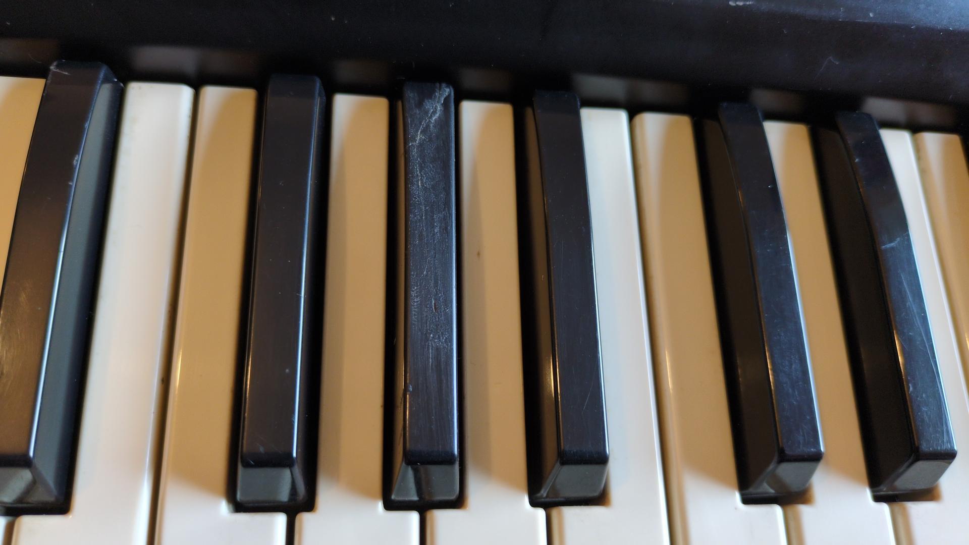Roland SH-7 (1431)