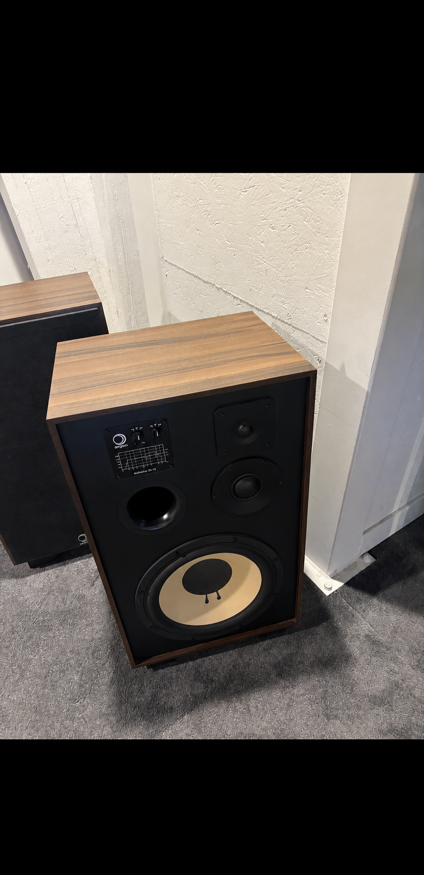 Vend enceinte elipson XLS 15 neuve 