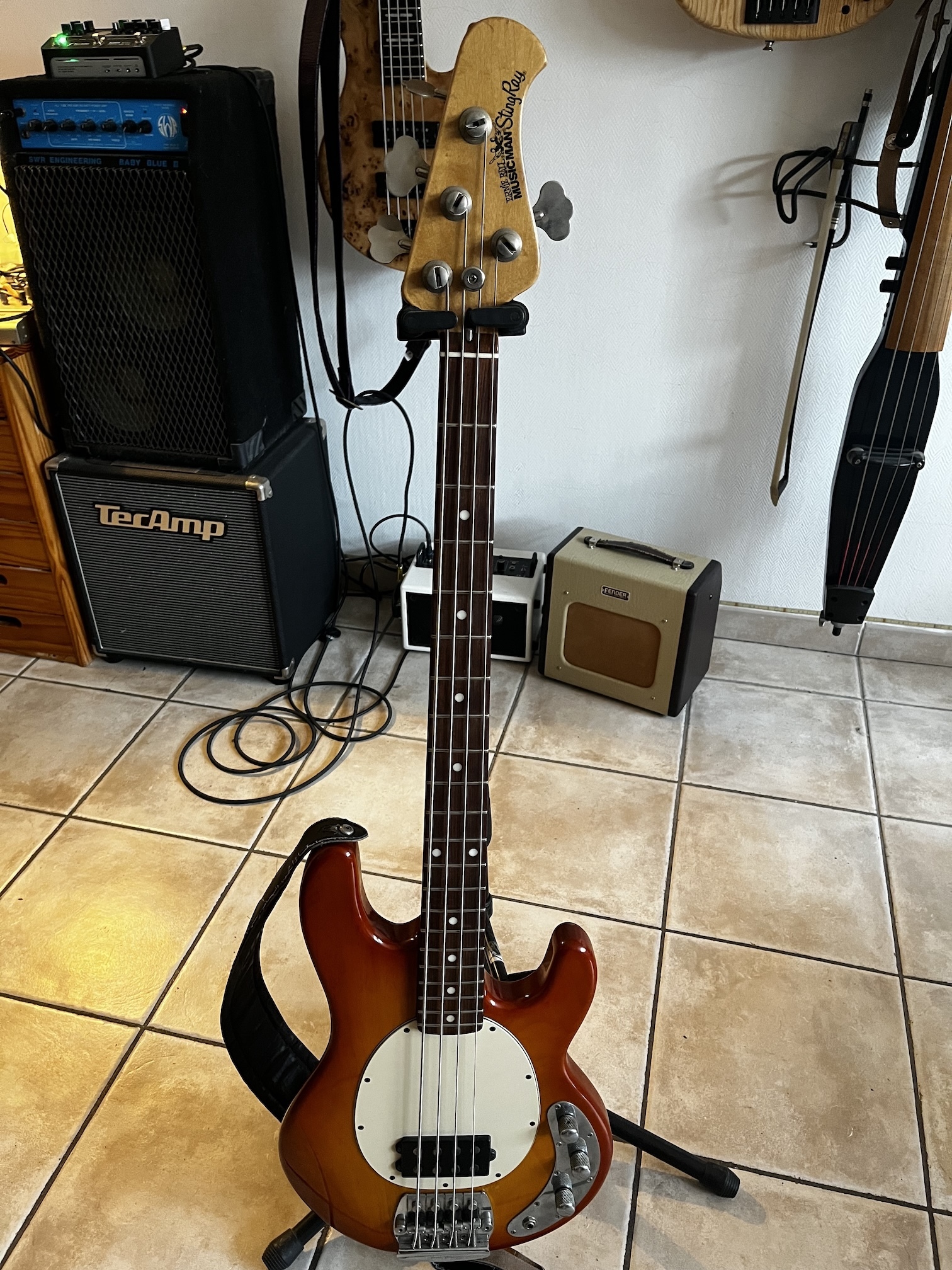 Musicman Ernie Ball StingRay