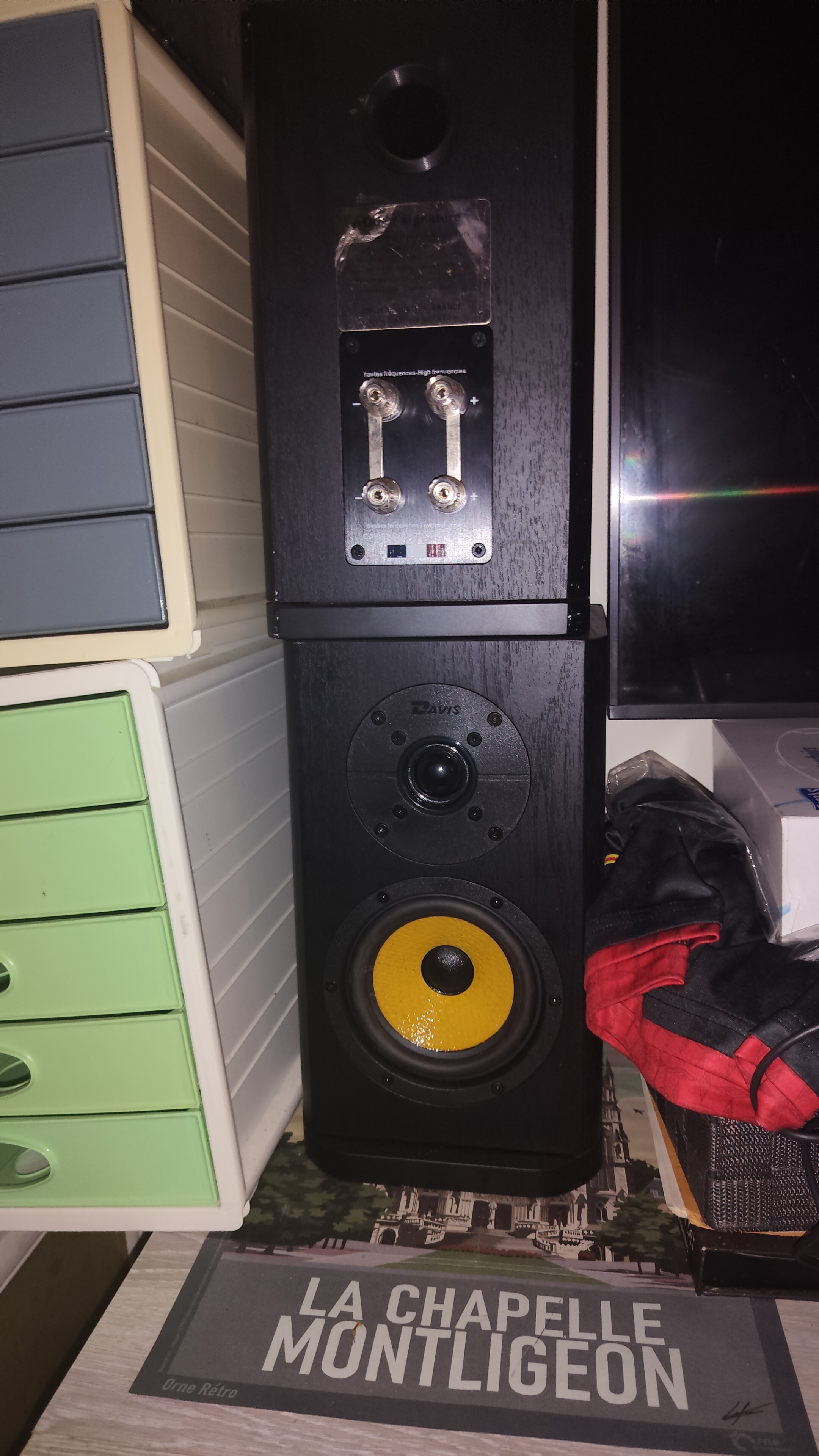 Davis acoustics Dufy Signature 