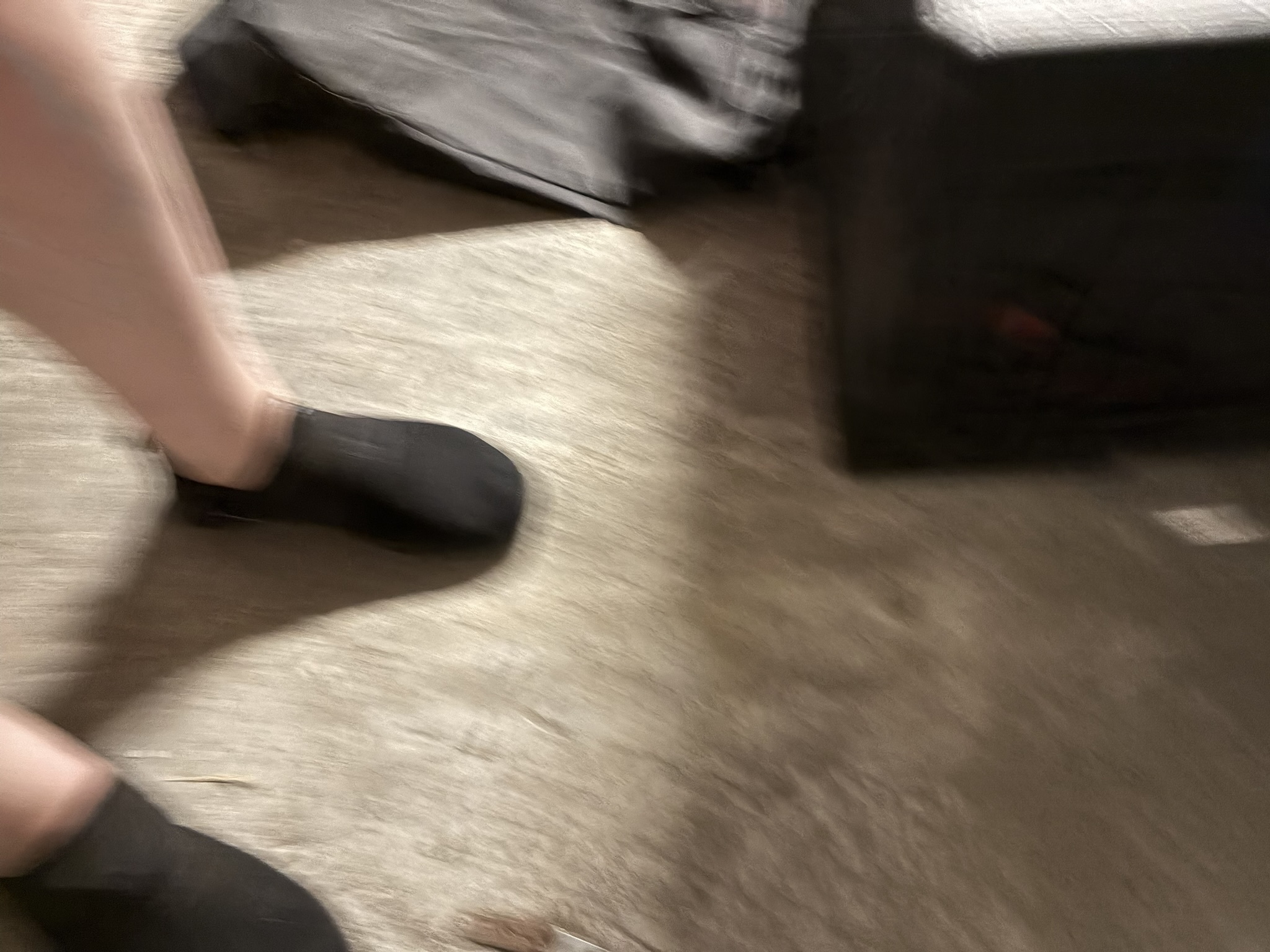 IMG 7504