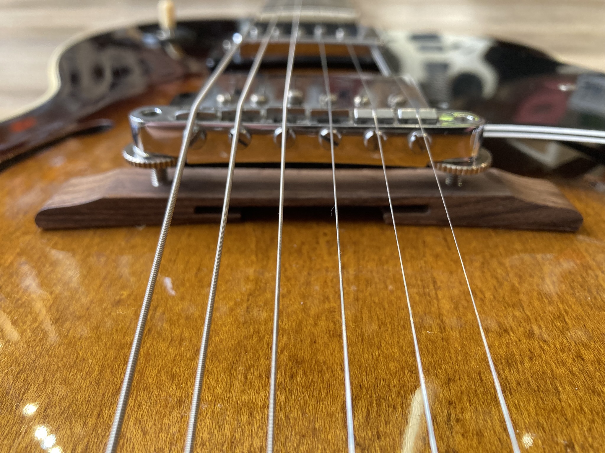 Ibanez FG100 (73386)