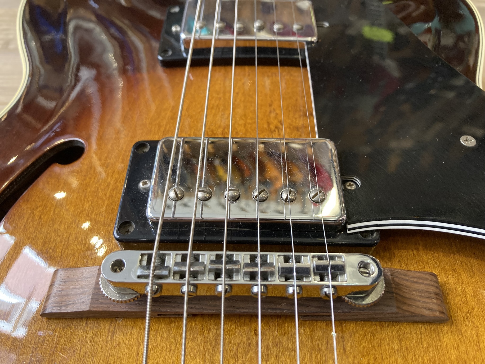 Ibanez FG100 (93311)