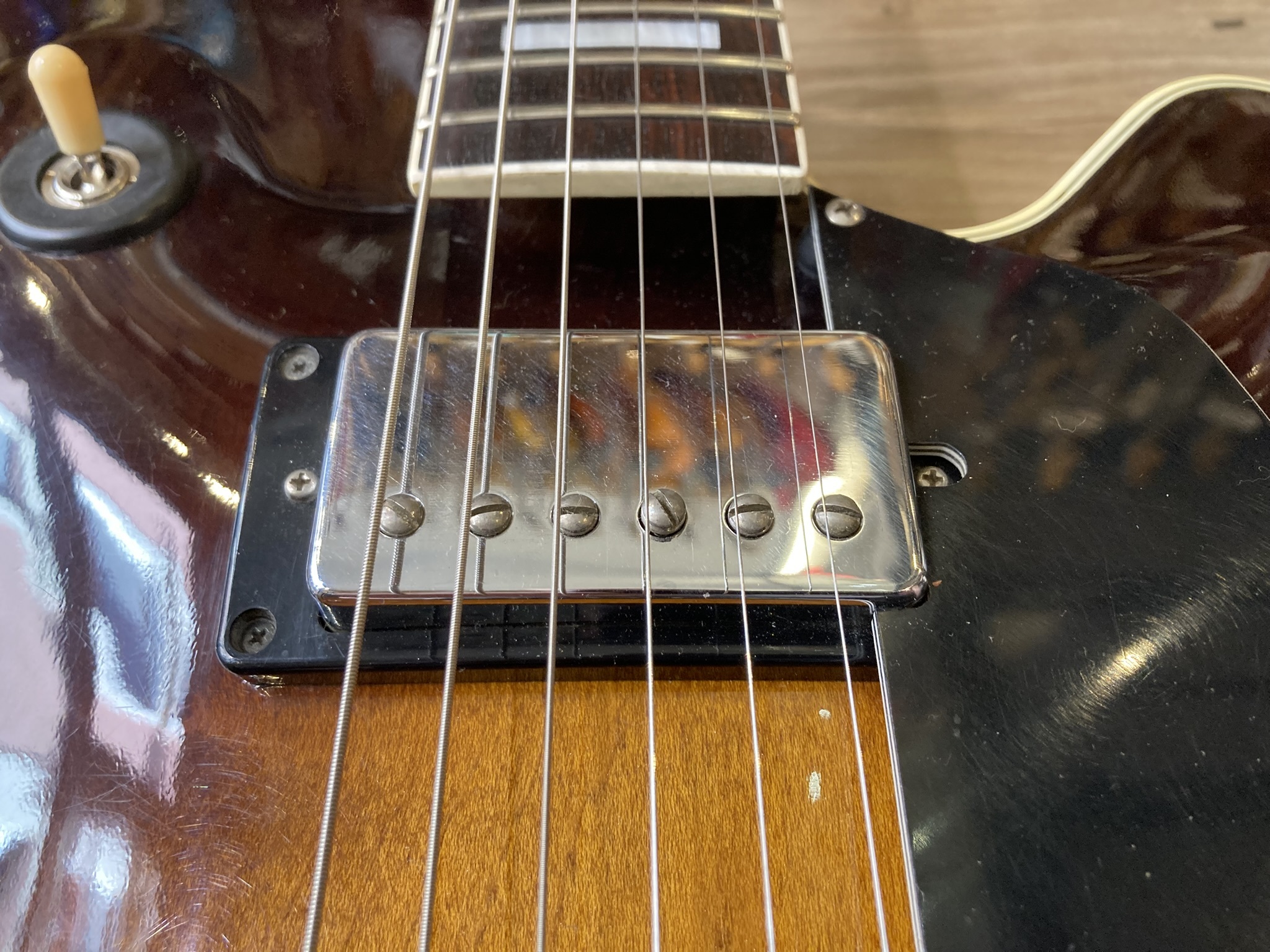 Ibanez FG100 (11117)
