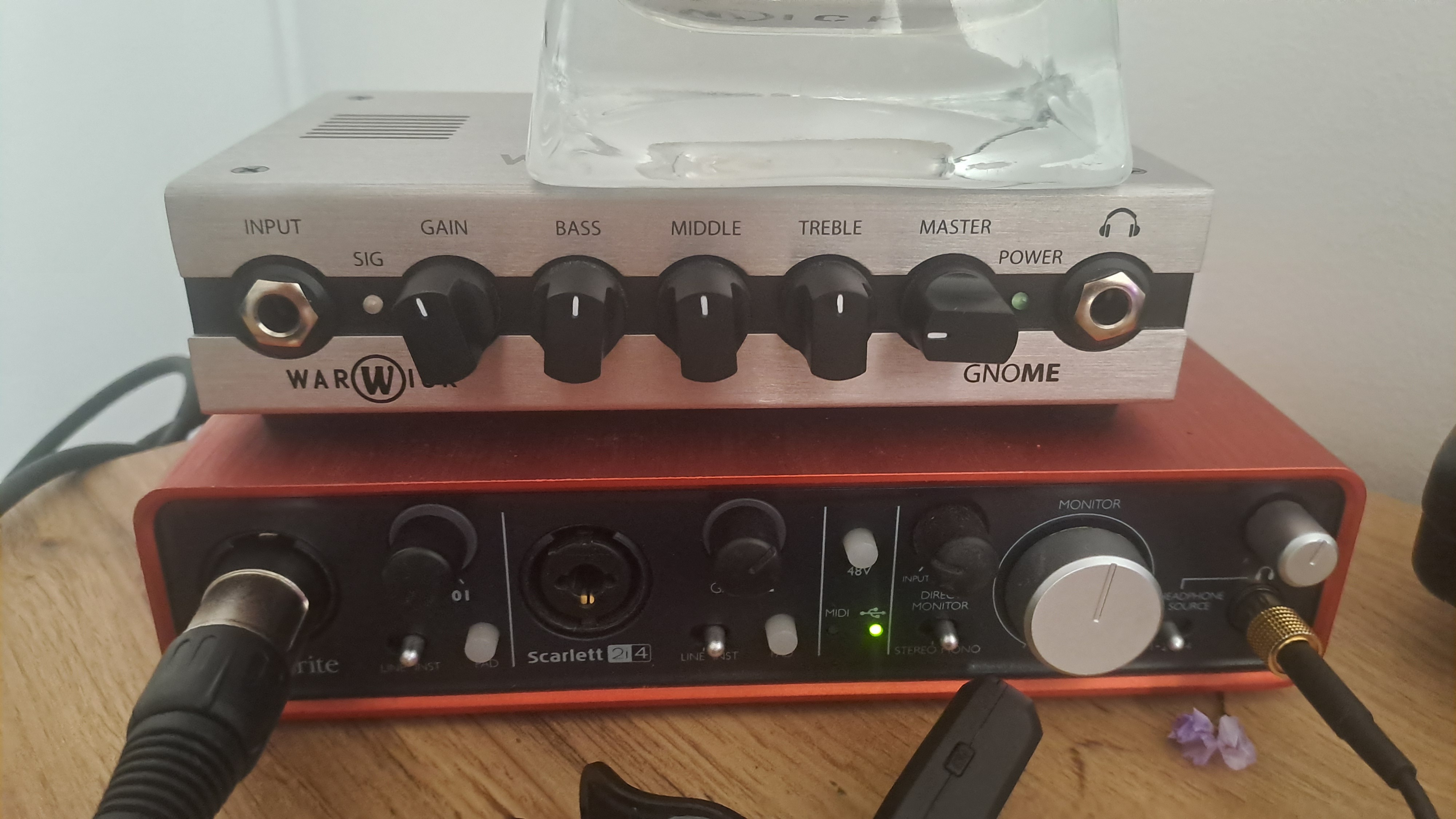 Vds Warwick Gnome 200 watts