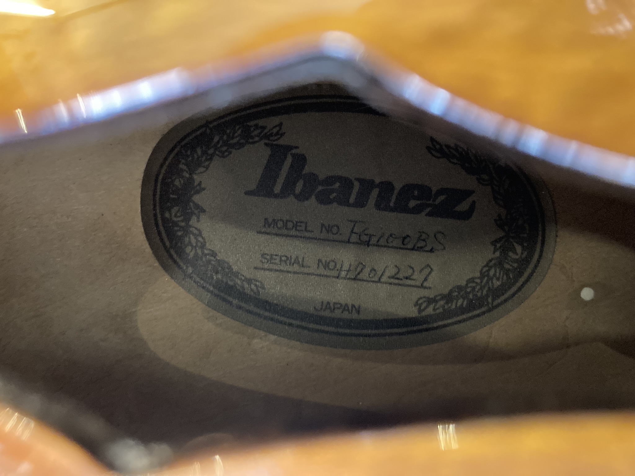 Ibanez FG100 (85744)