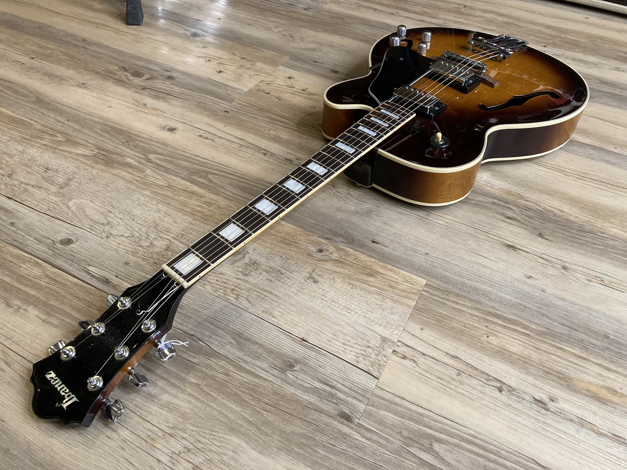 Ibanez FG100 (67059)