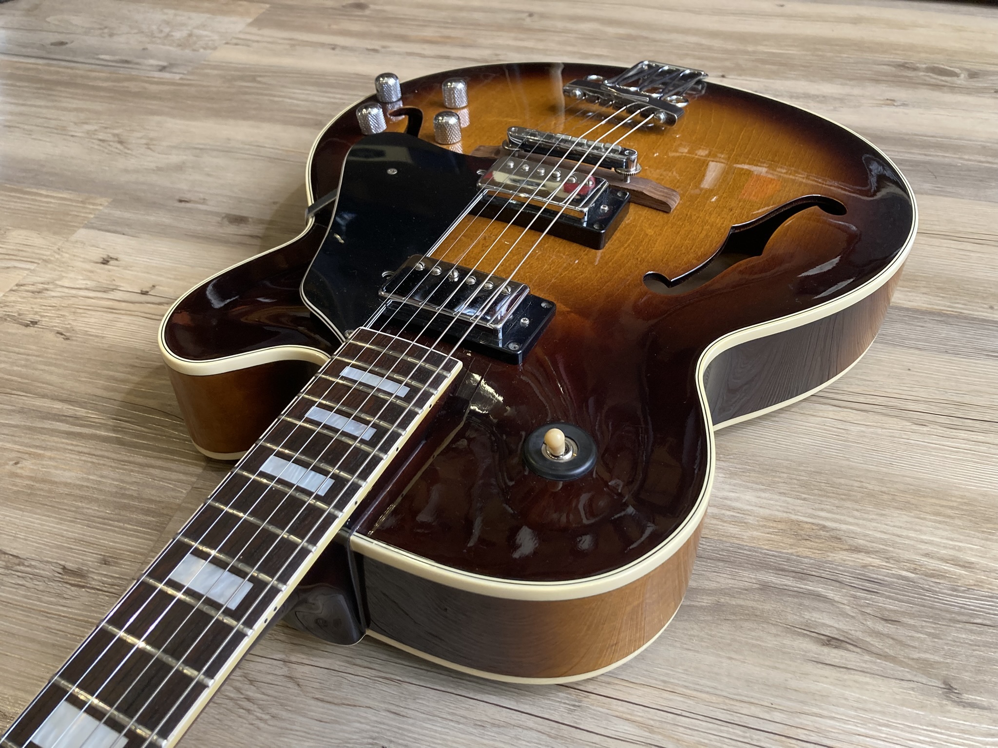 Ibanez FG100 (4386)