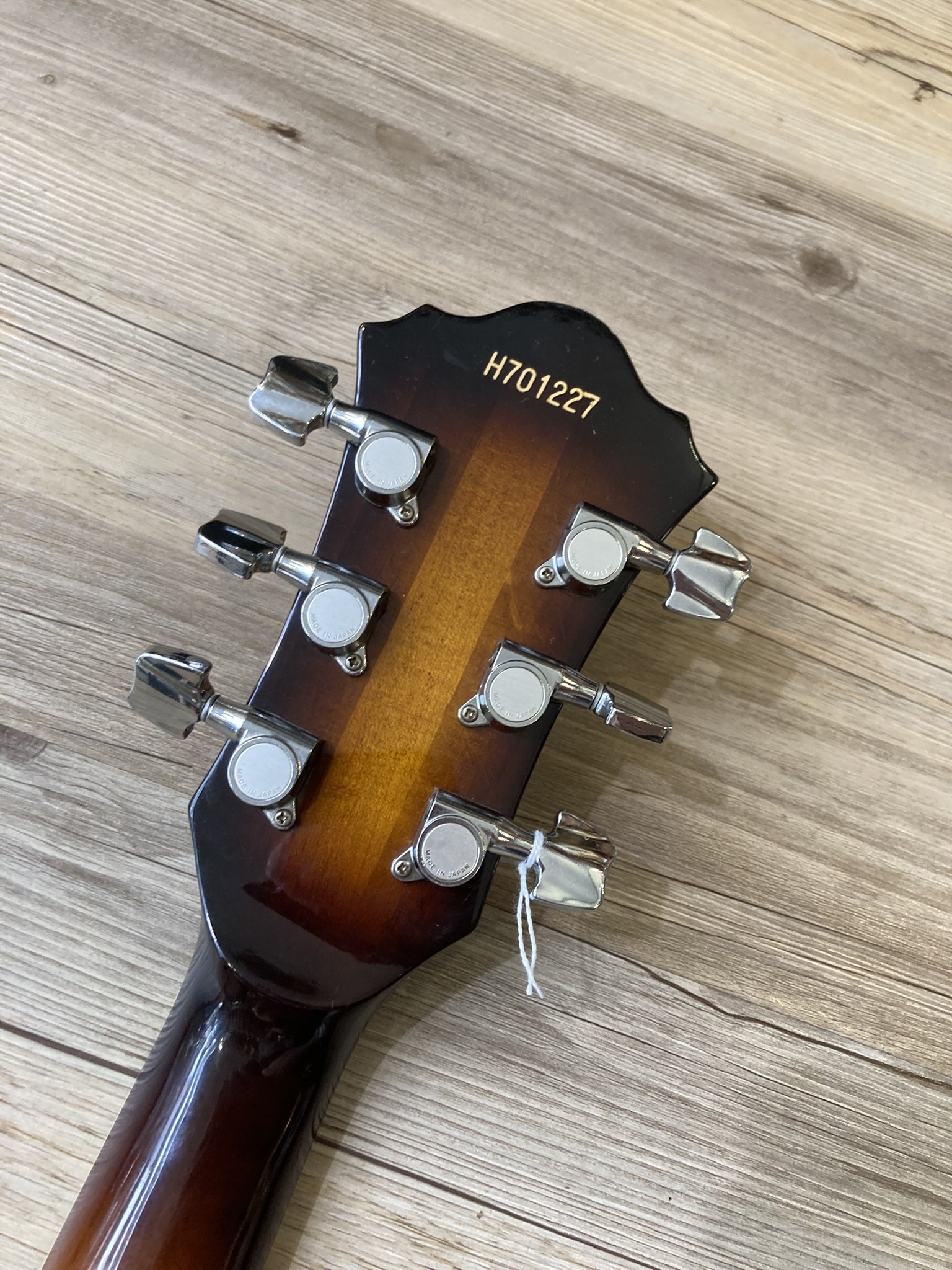 Ibanez FG100 (8034)