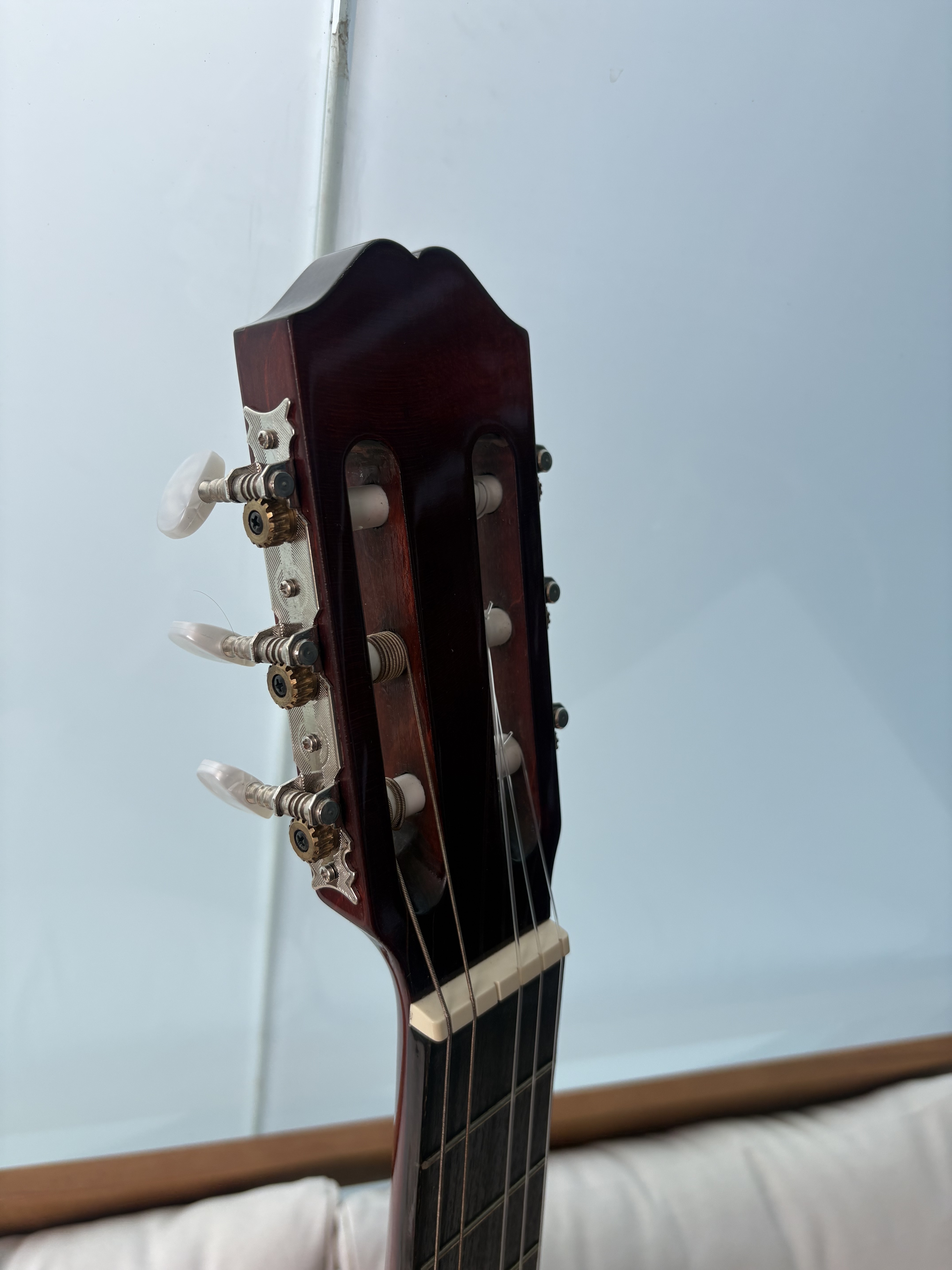 IMG 4597
