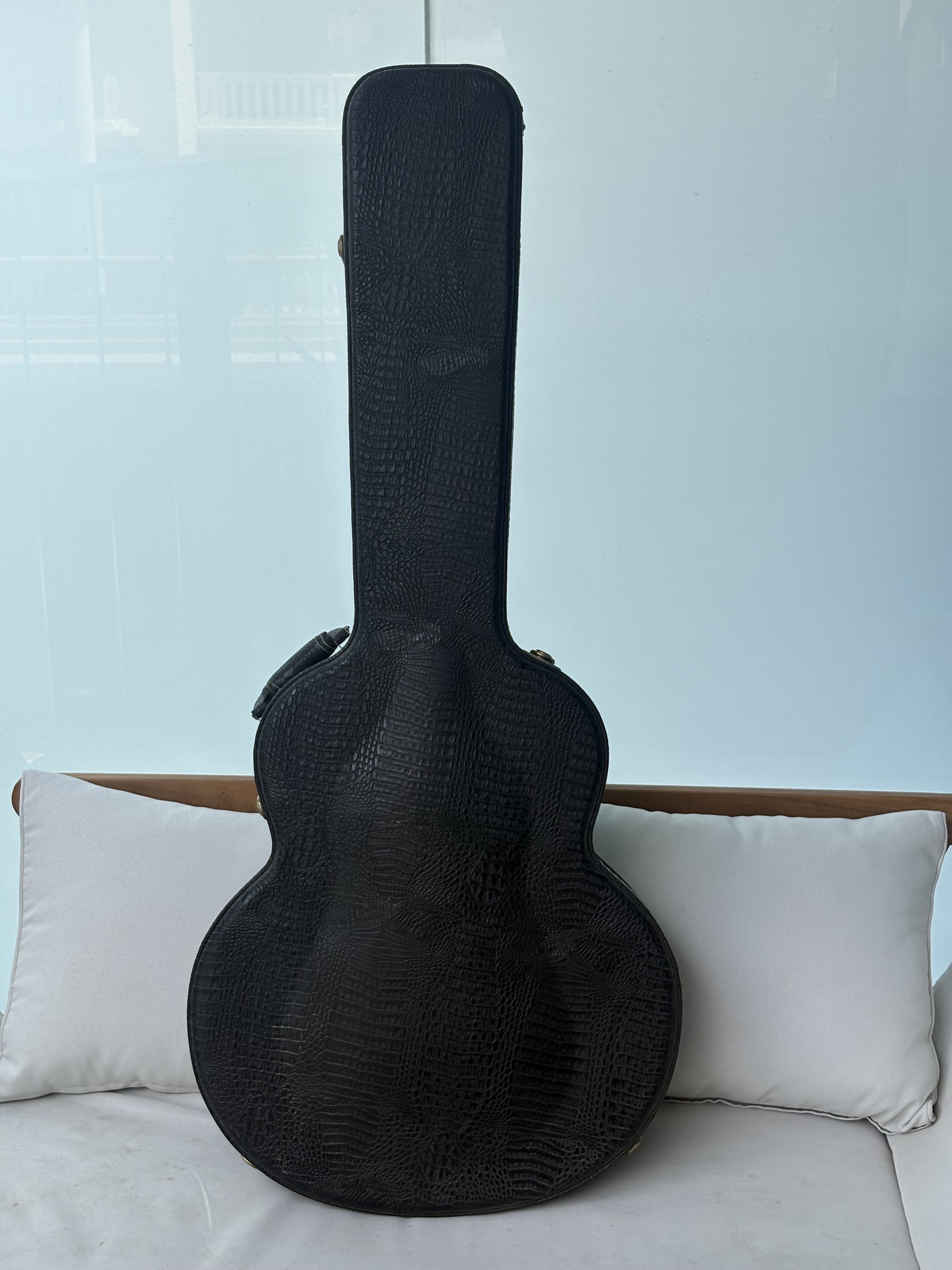 Vent étui guitare LAG