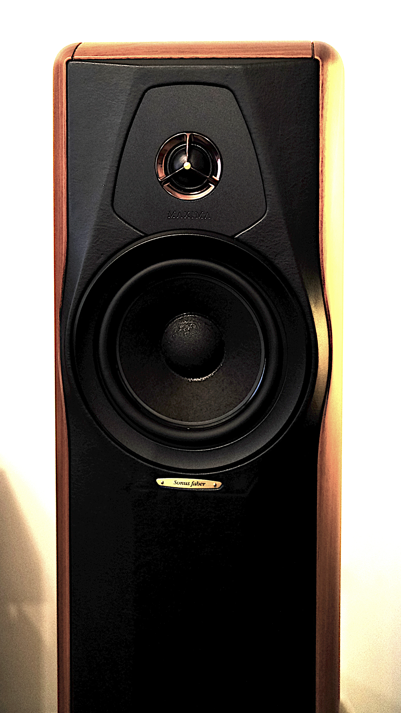DSCF3120mT2