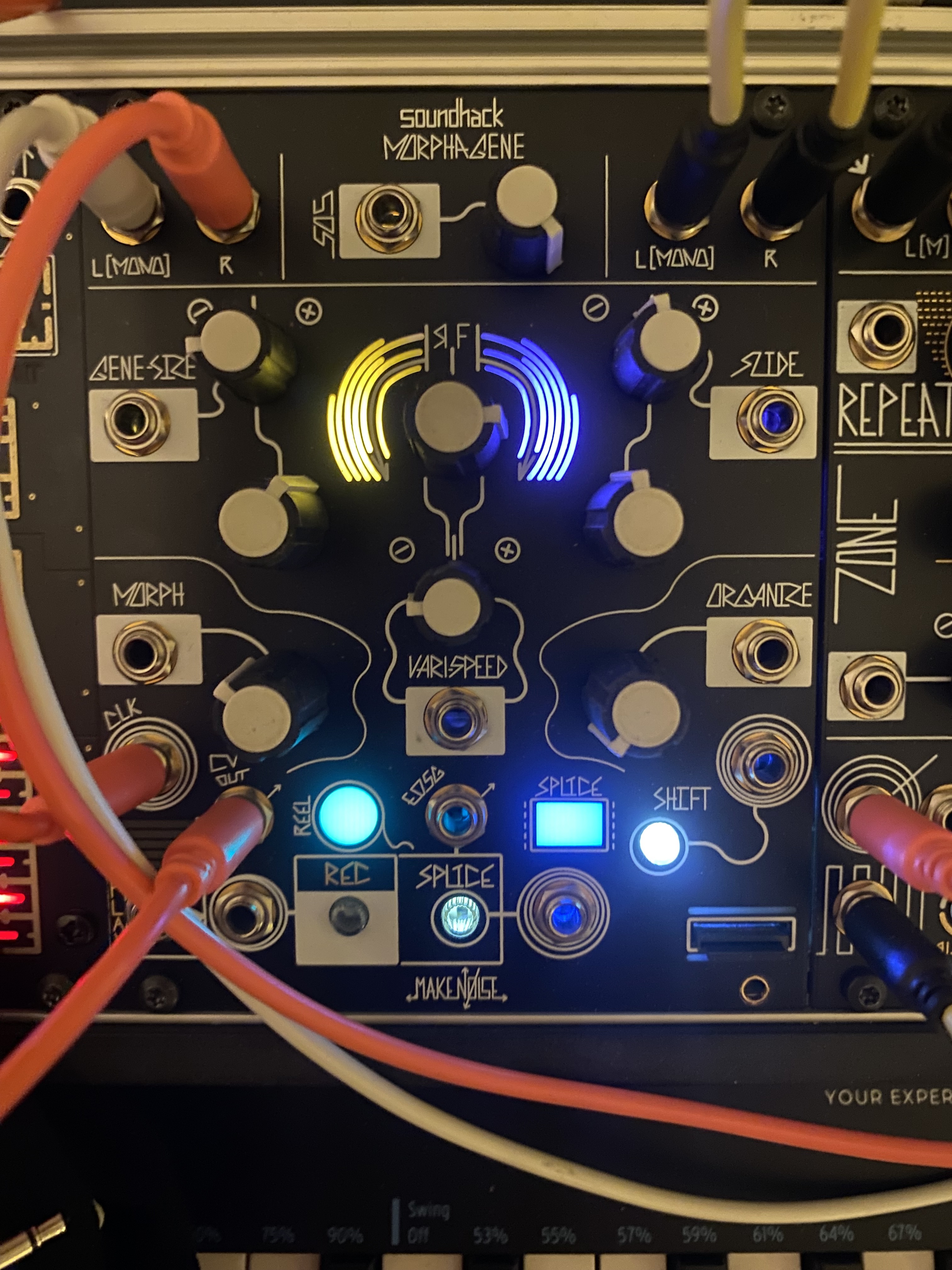 Make noise Morphagene