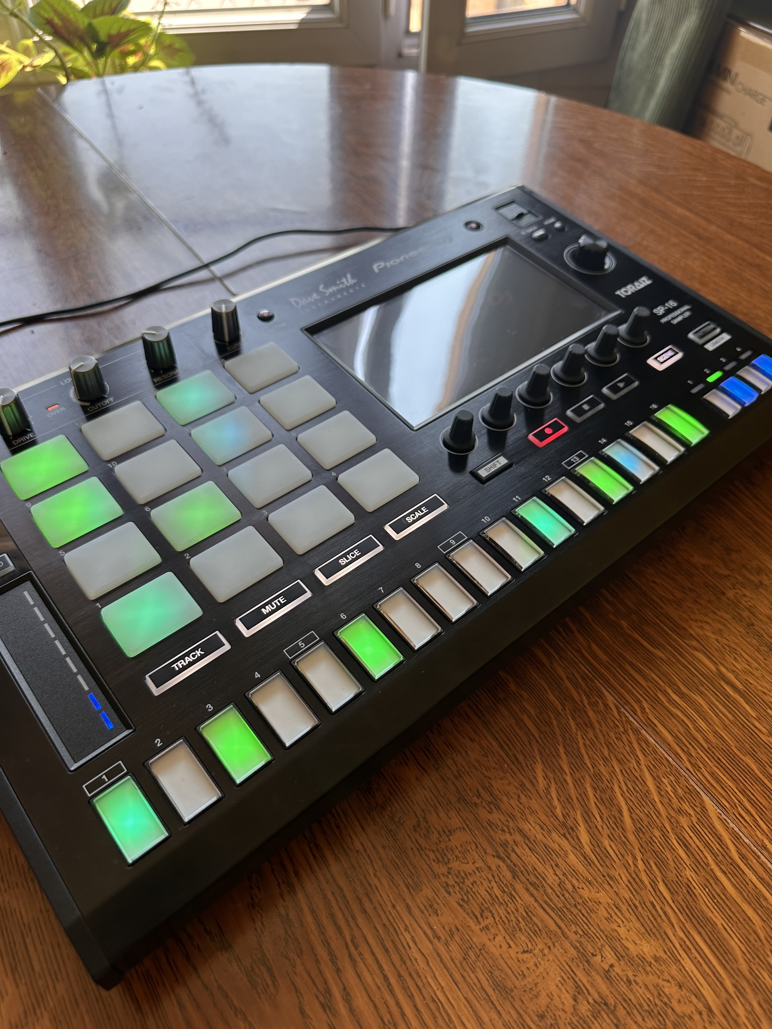 Pioneer Toraiz SP-16 (31537)
