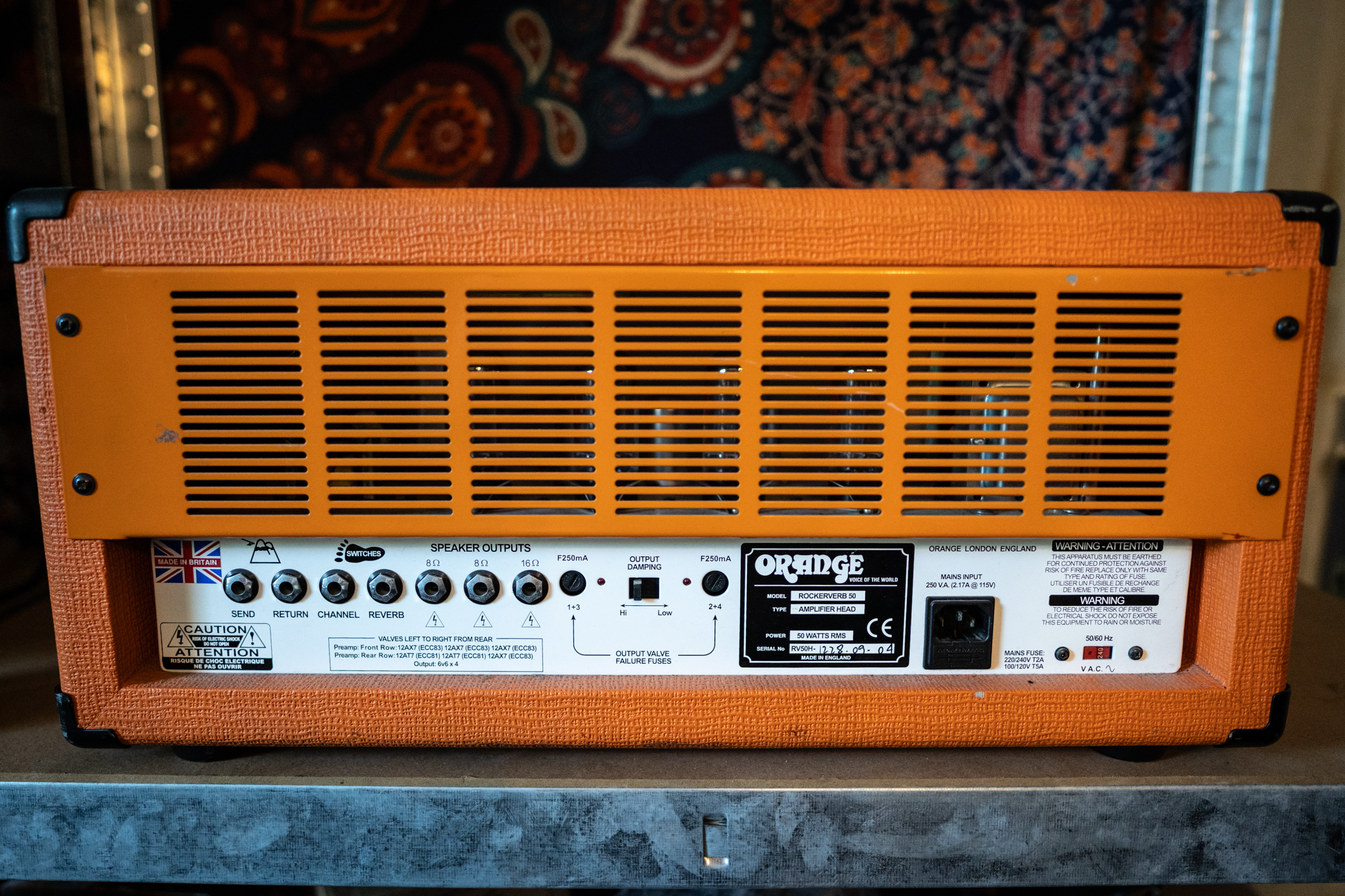 Orange Rear